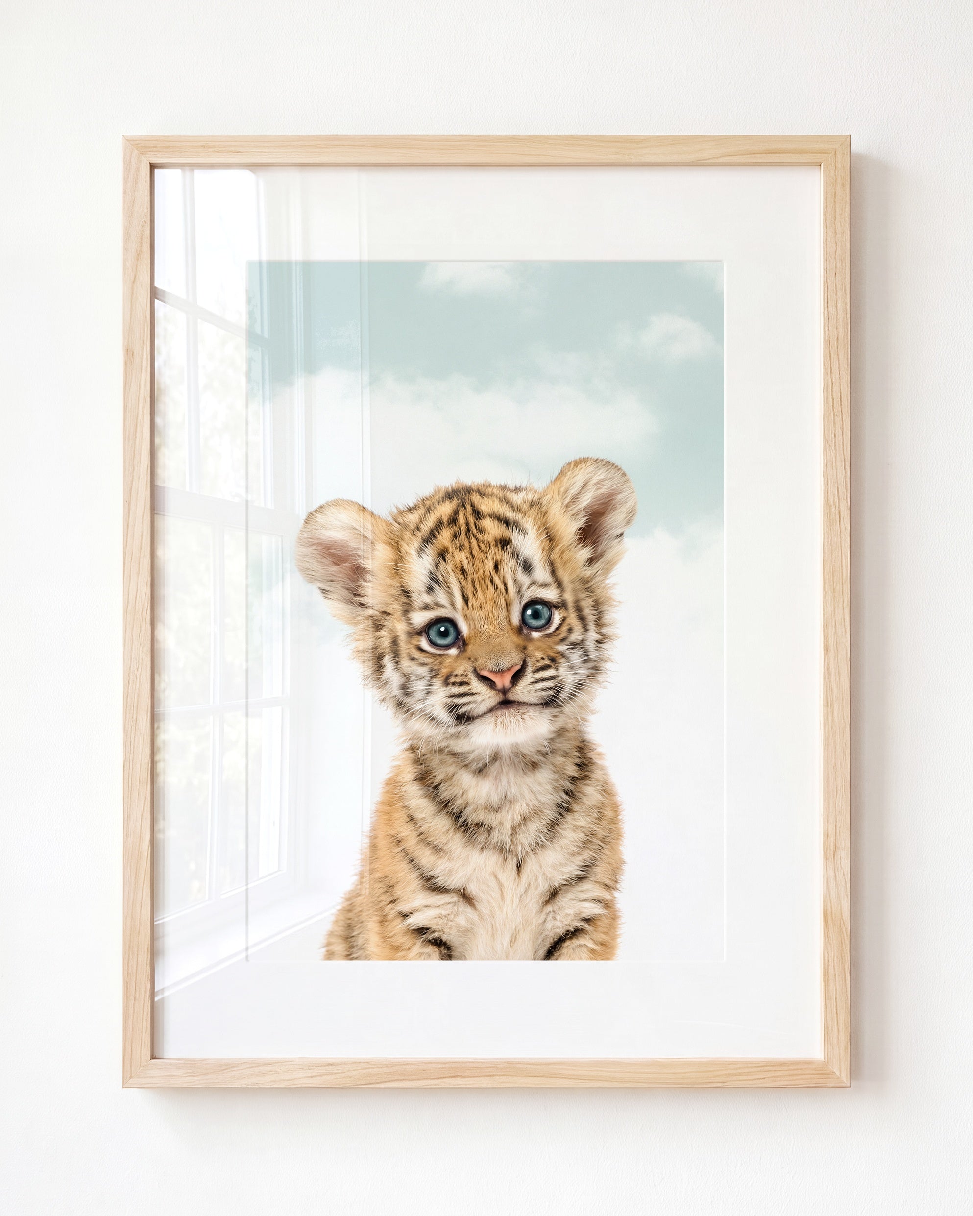 Baby Tiger