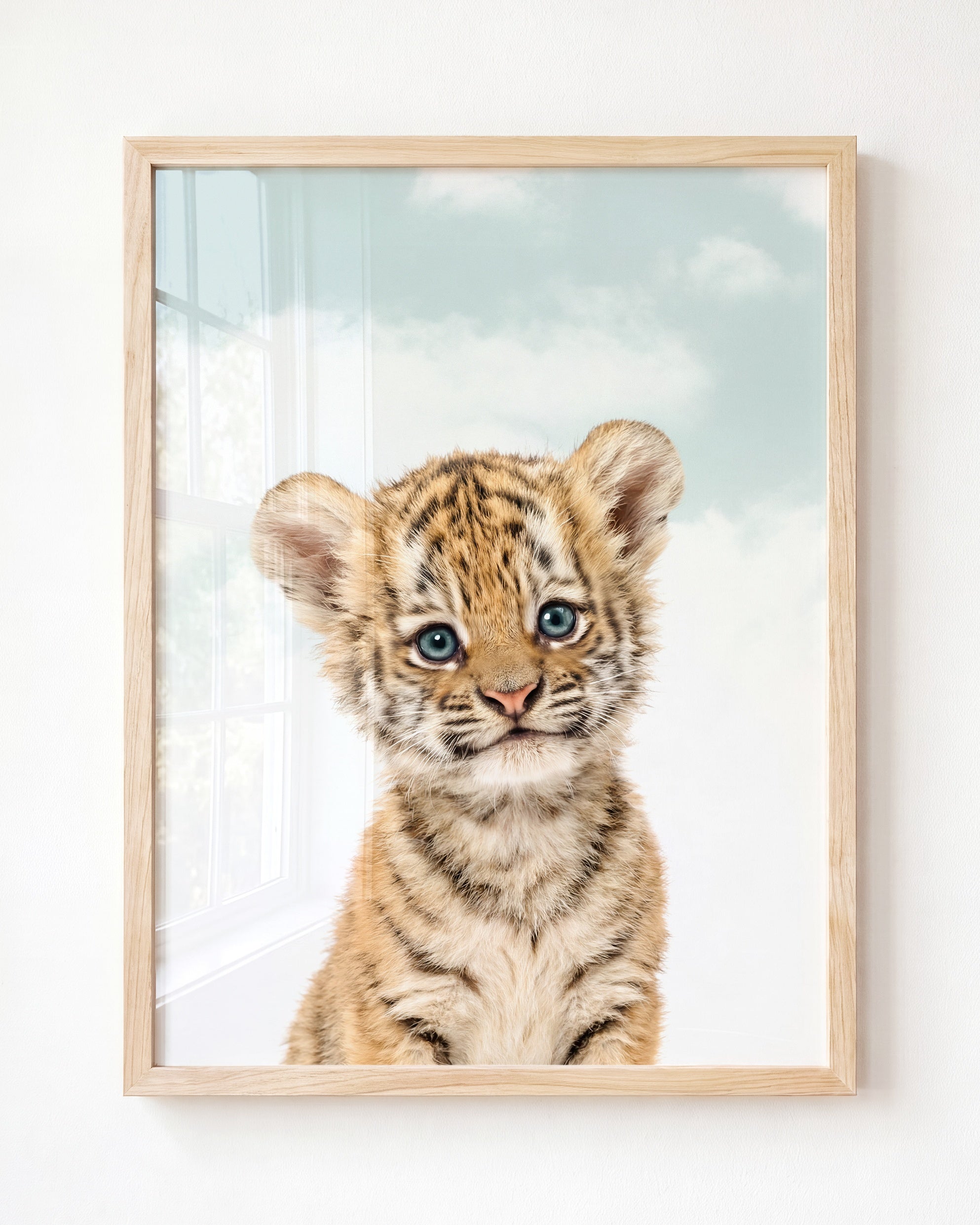 Baby Tiger