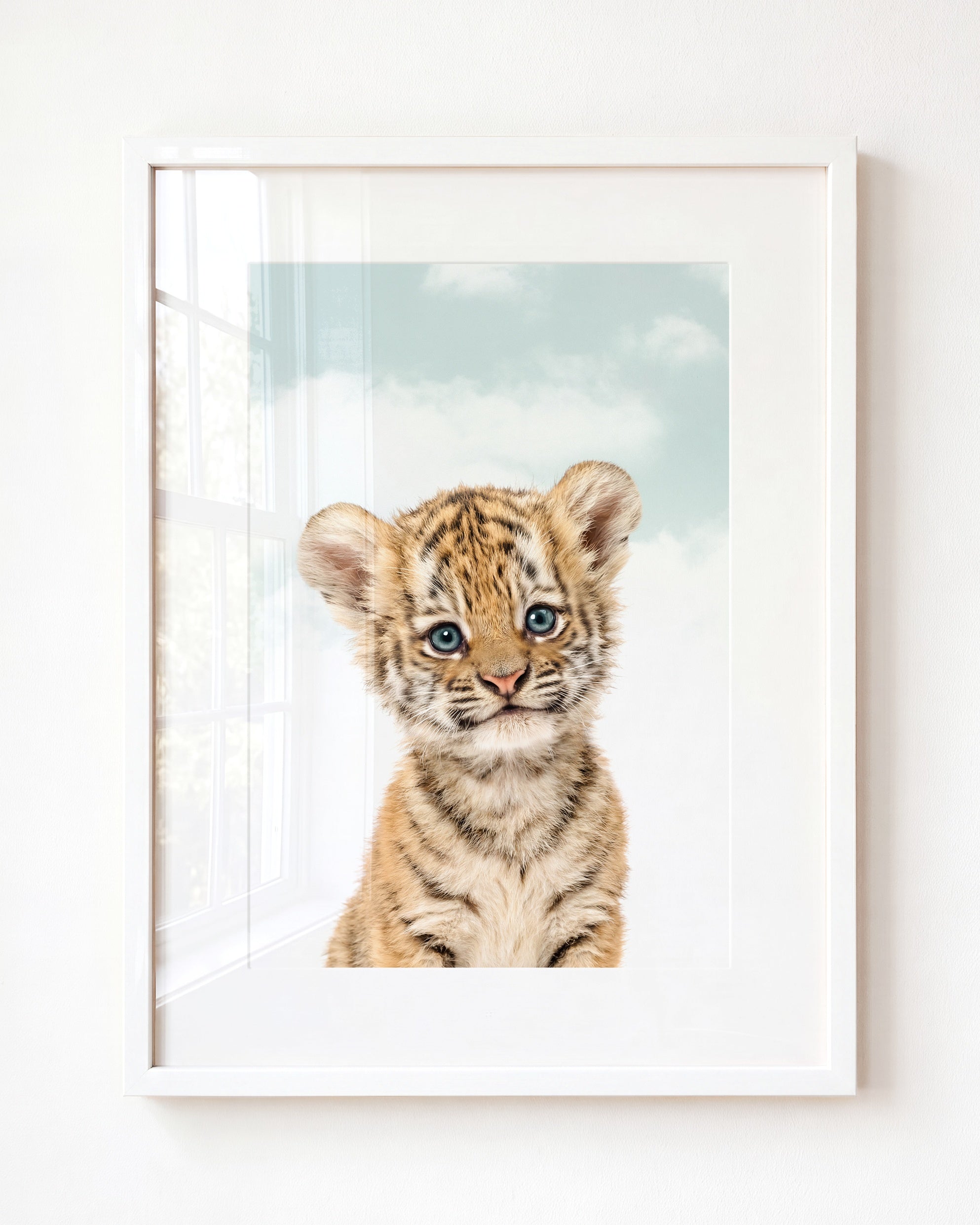 Baby Tiger