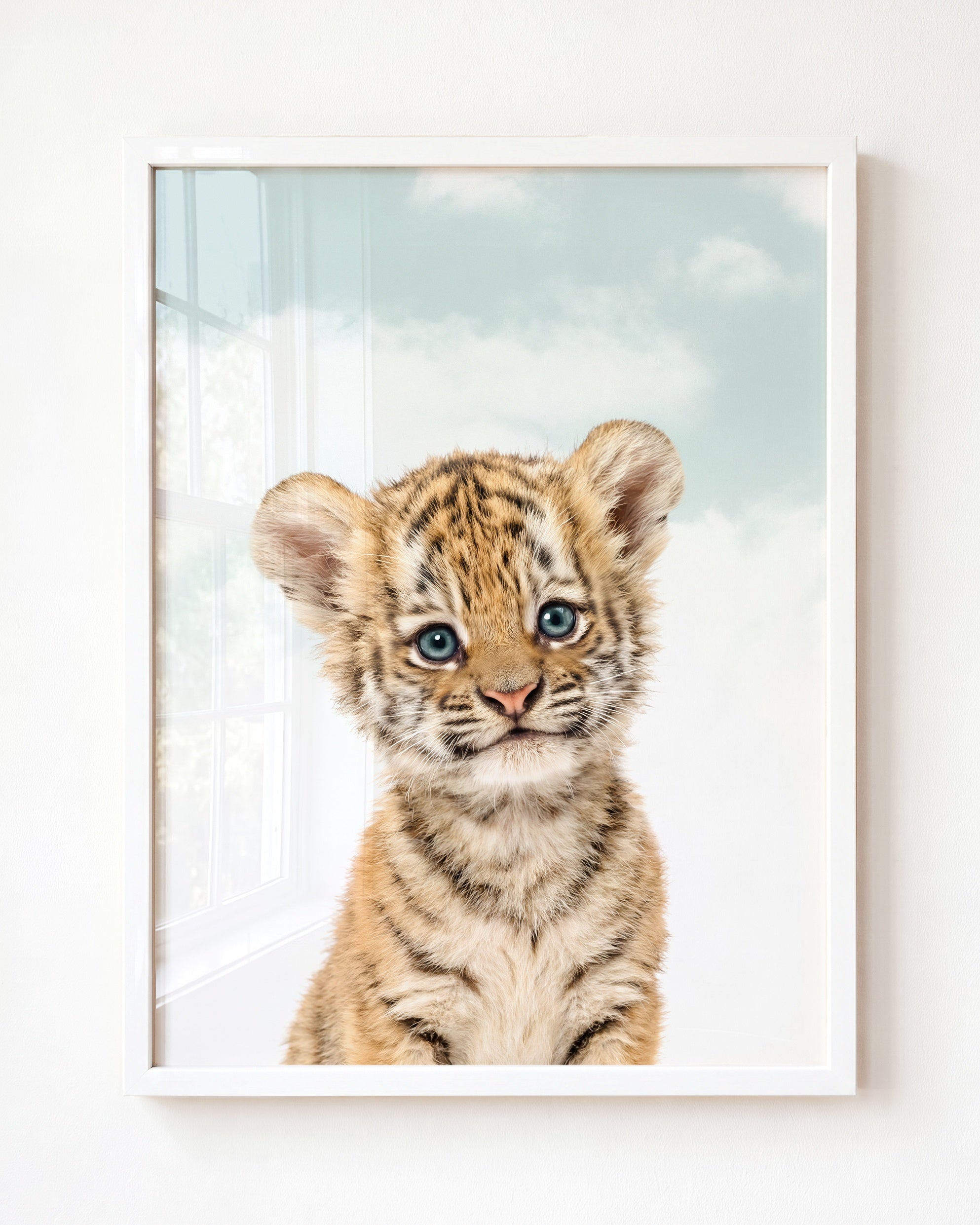Baby Tiger