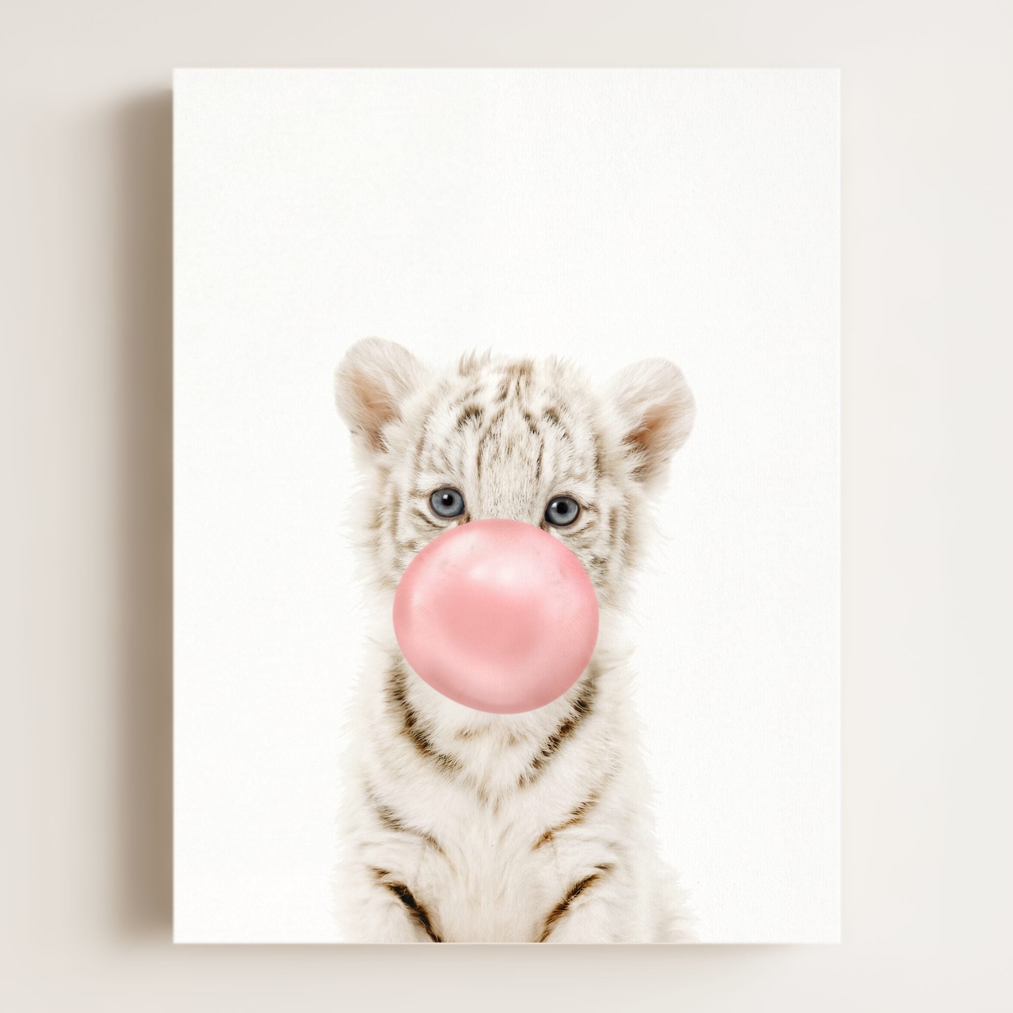 Baby White Tiger