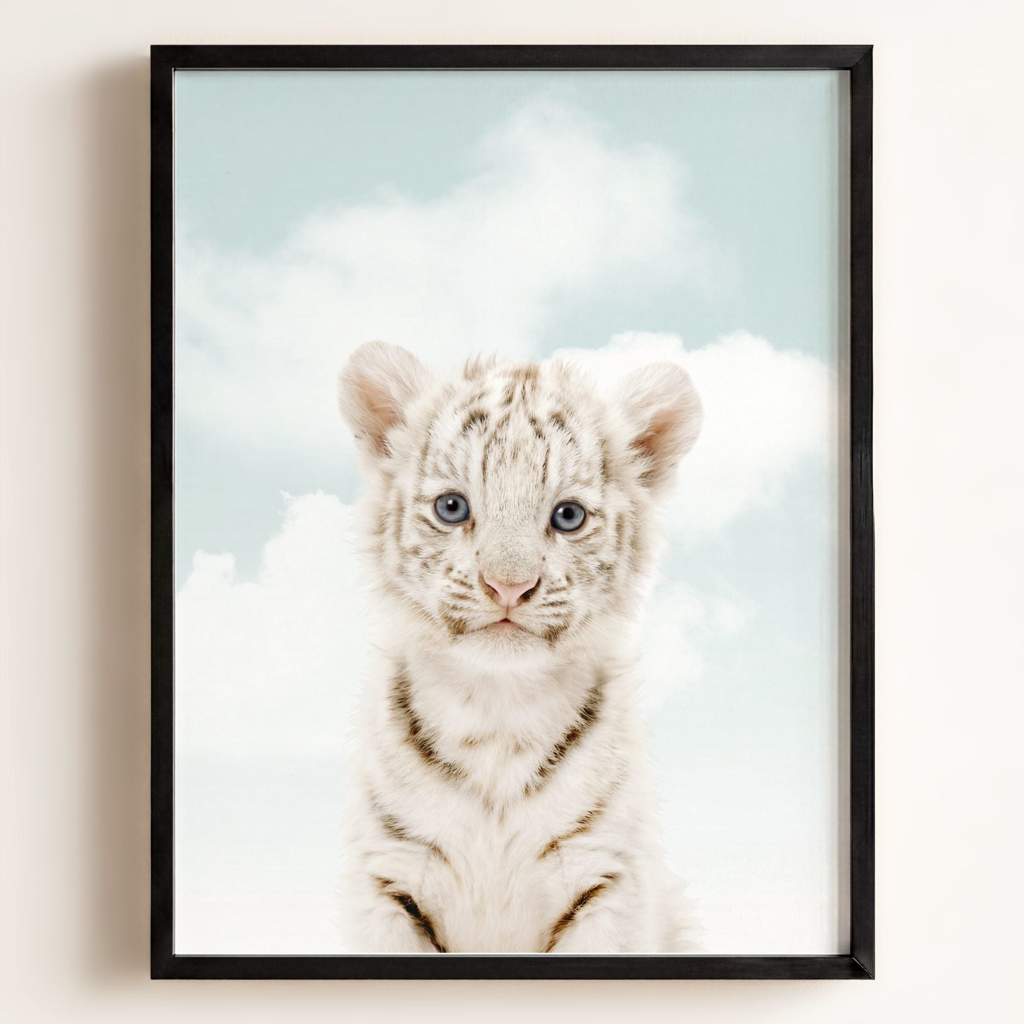 Baby White Tiger