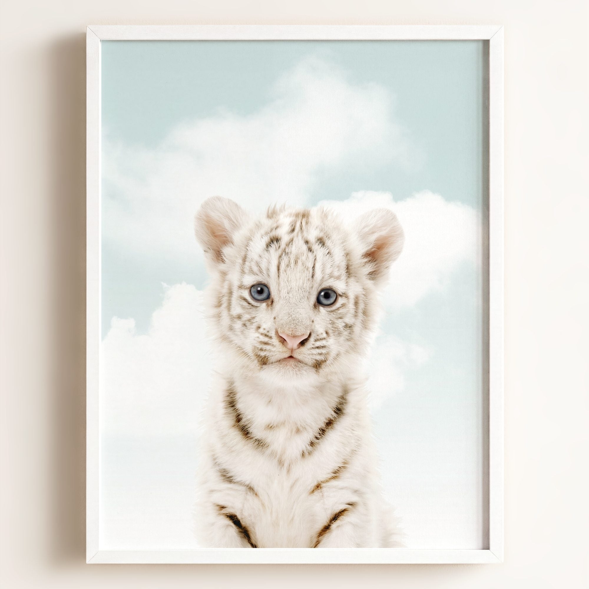 Baby White Tiger