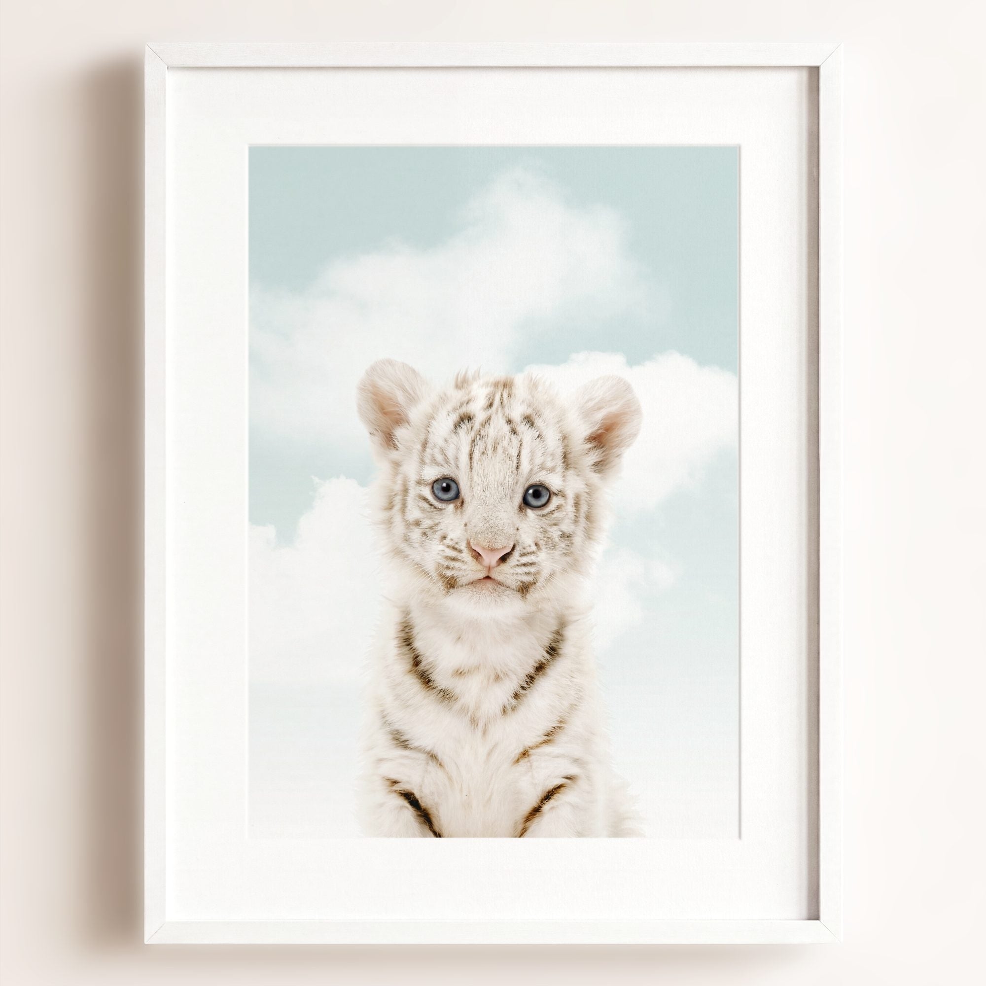 Baby White Tiger