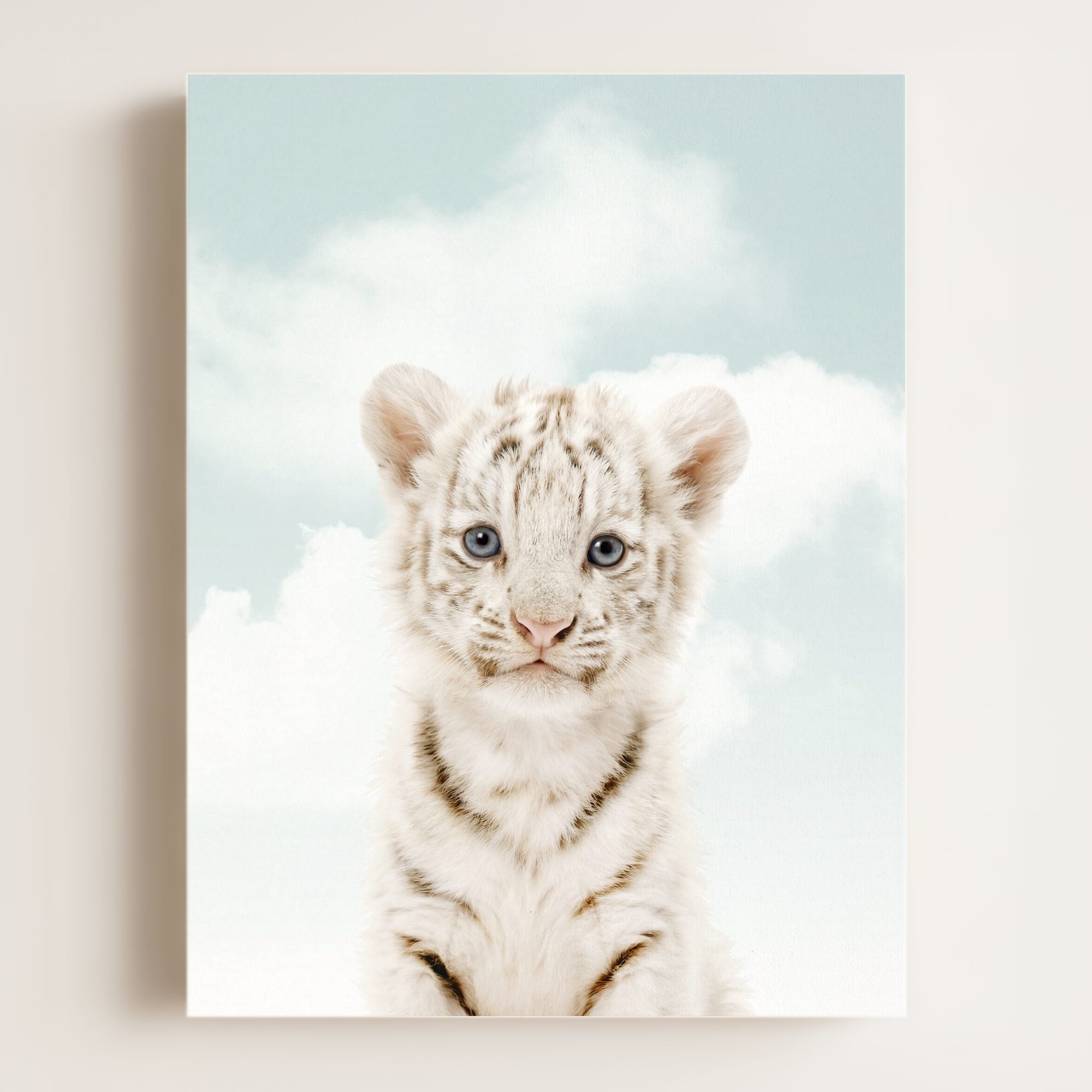 Baby White Tiger