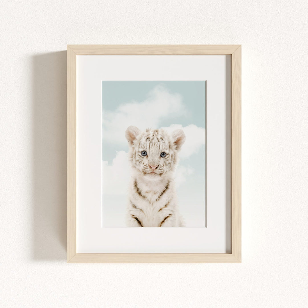 Baby White Tiger