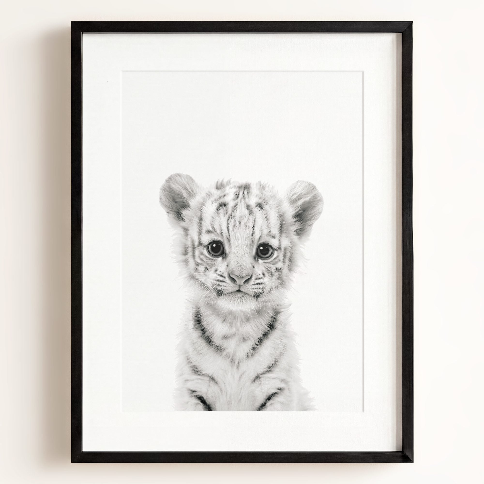 Baby White Tiger