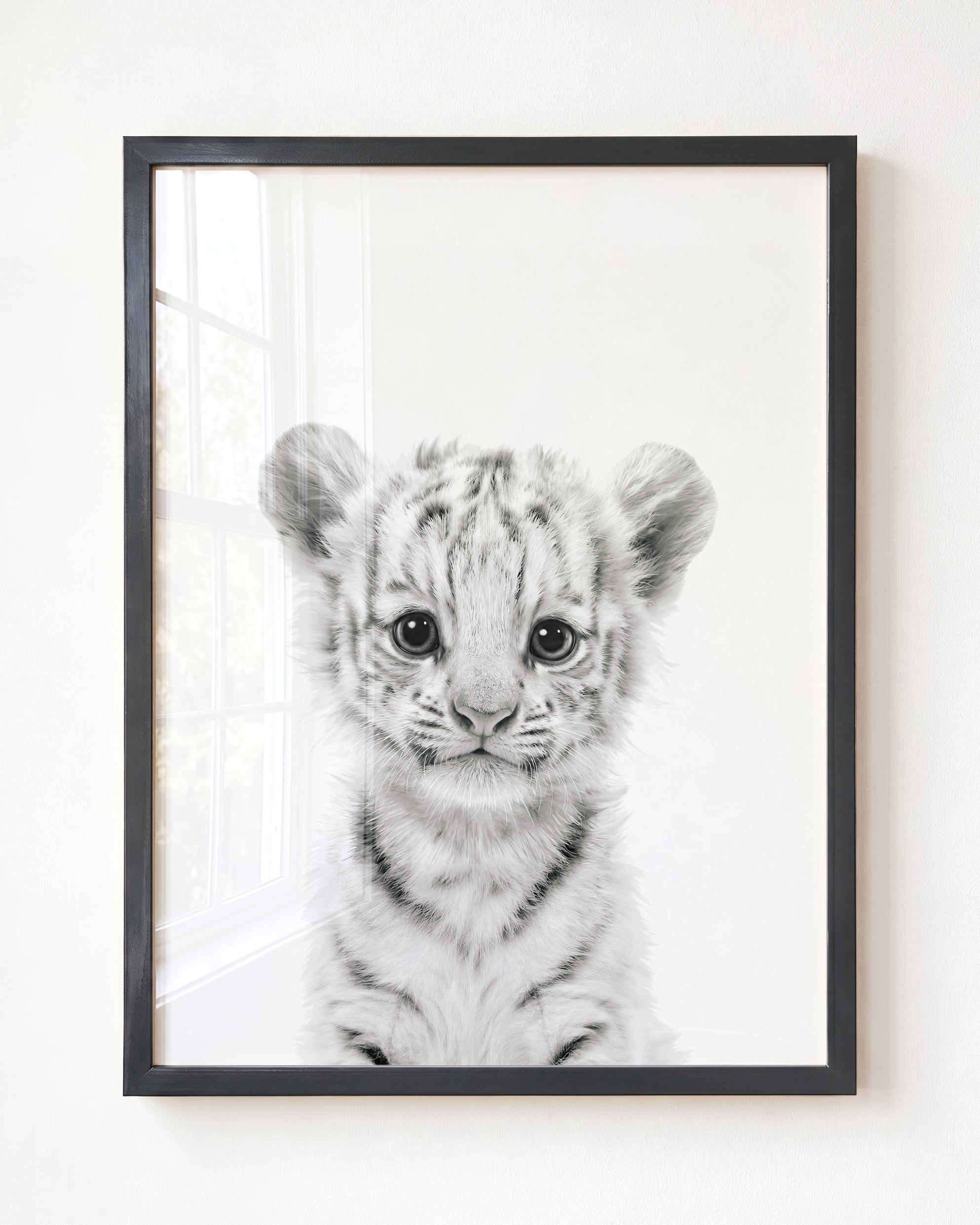 Baby White Tiger