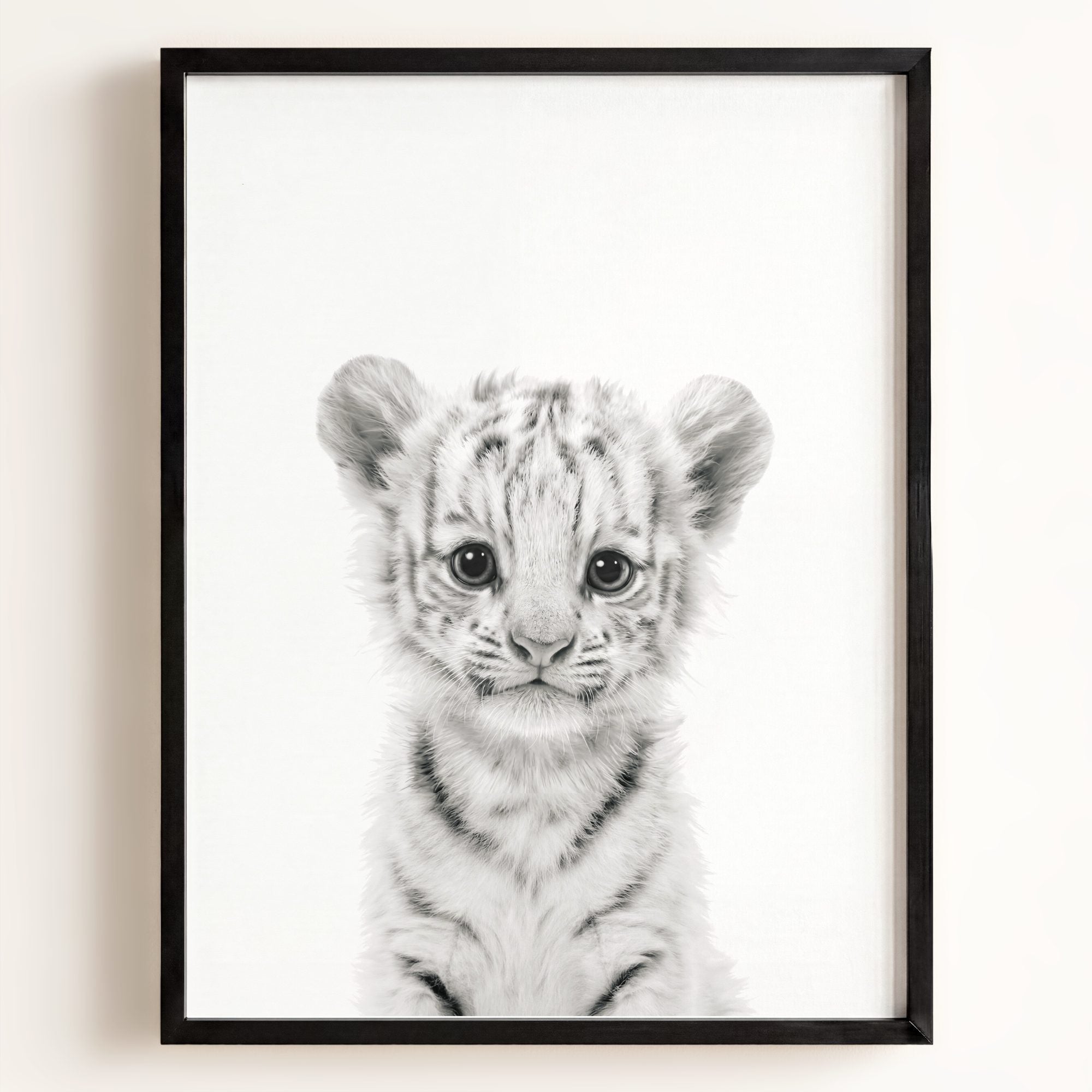 Baby White Tiger