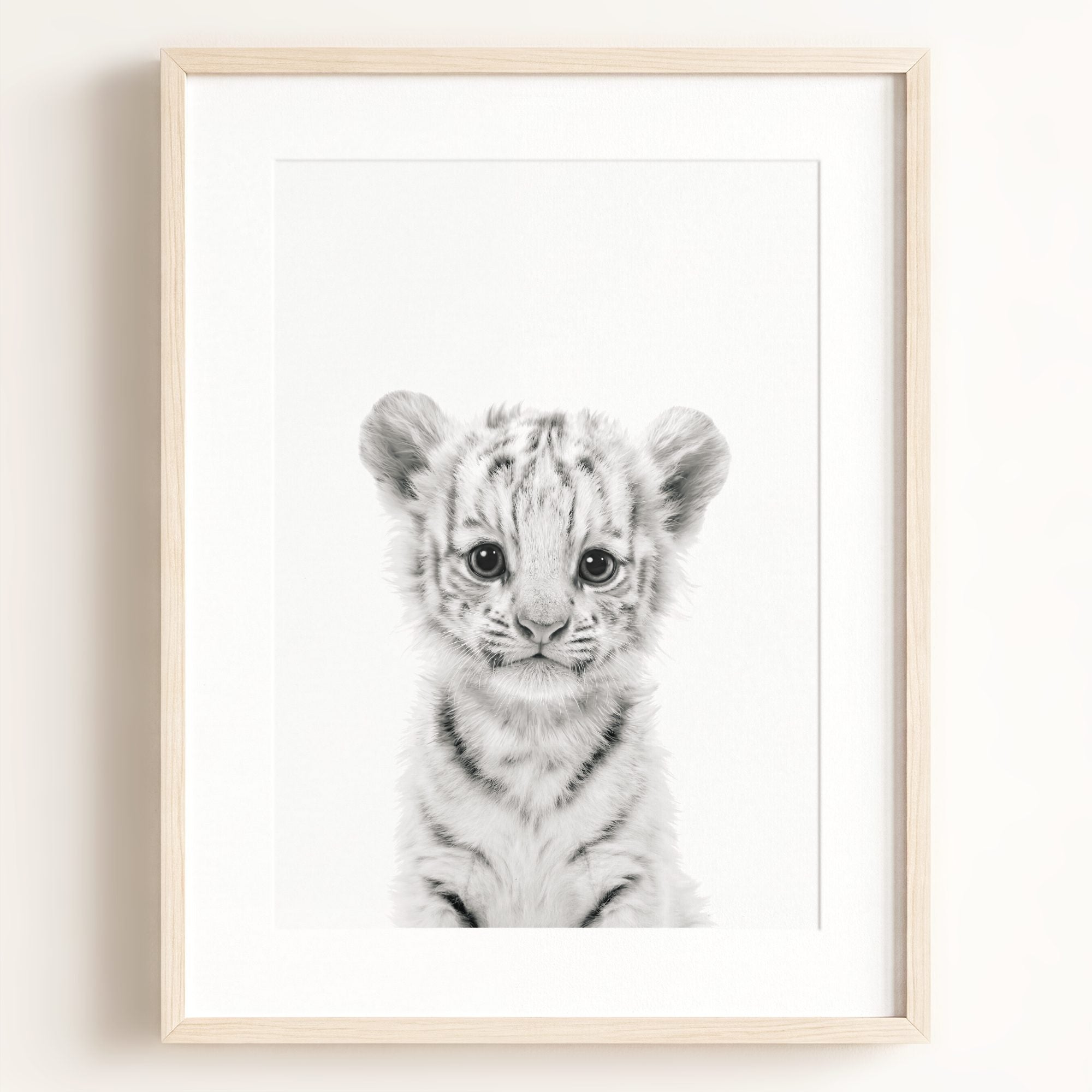 Baby White Tiger