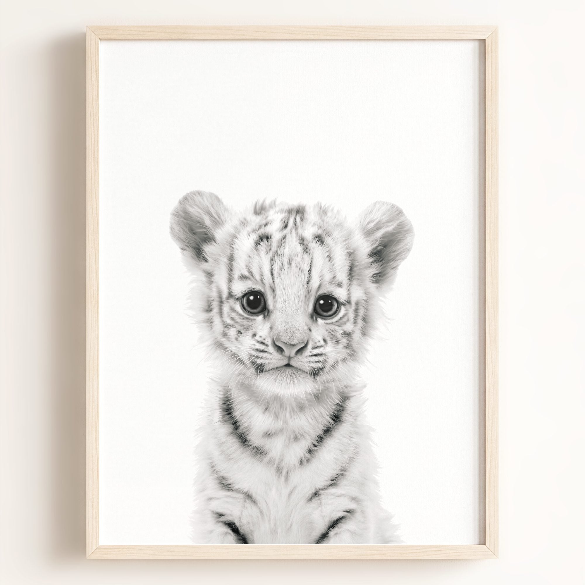 Baby White Tiger