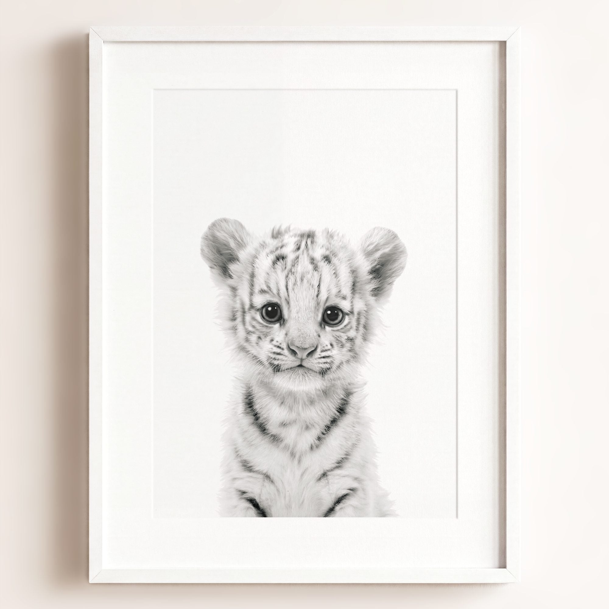Baby White Tiger