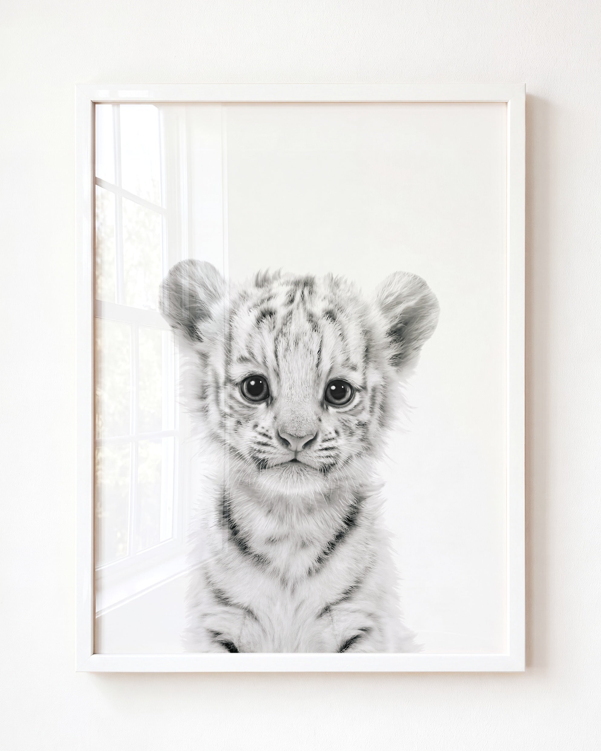 Baby White Tiger