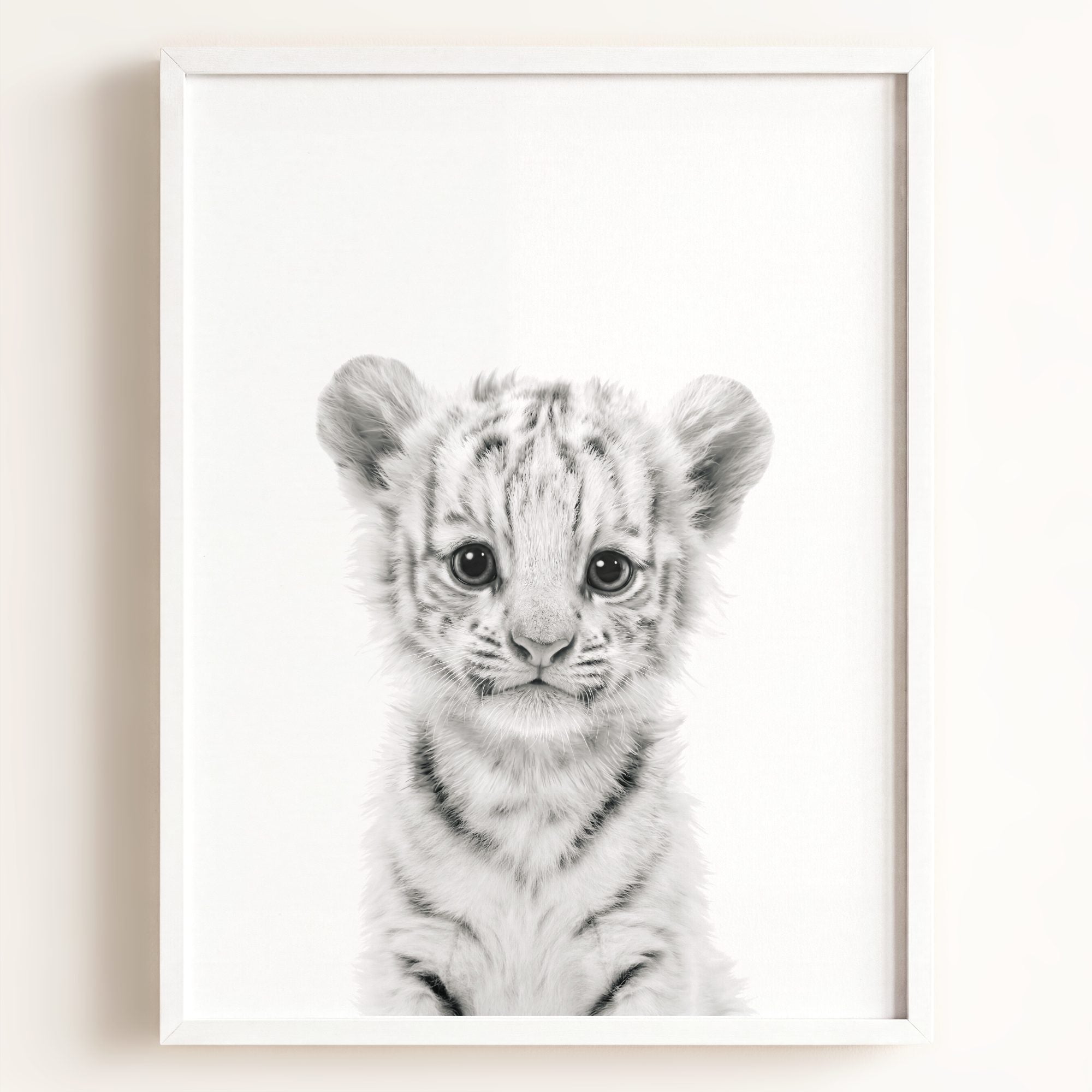 Baby White Tiger