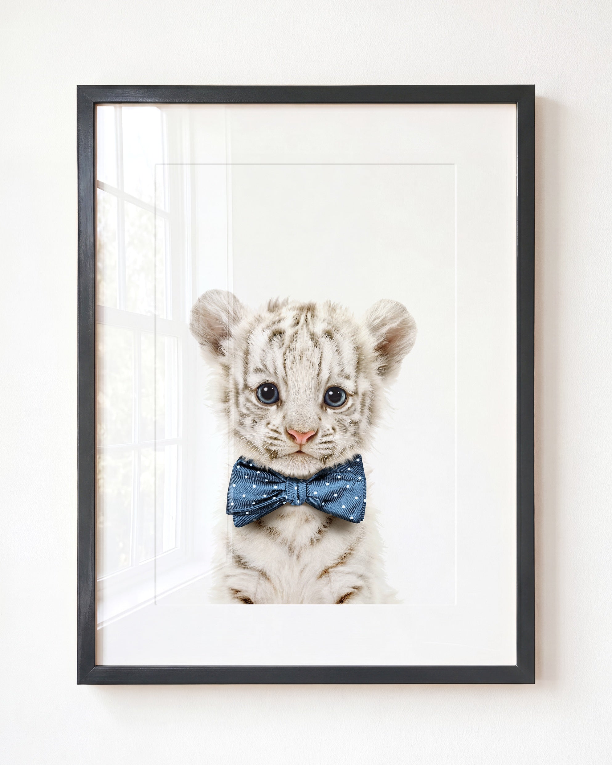 Baby White Tiger