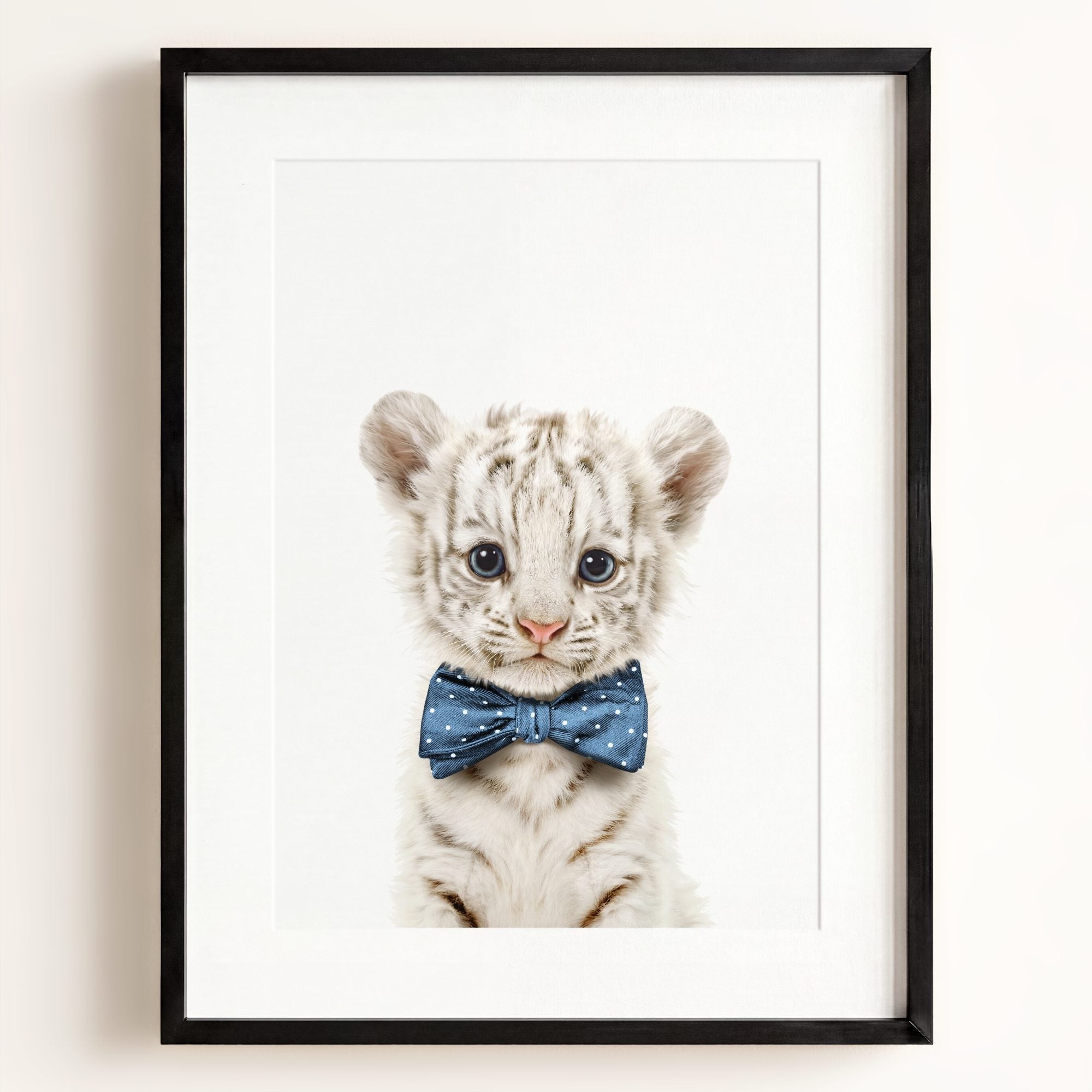 Baby White Tiger