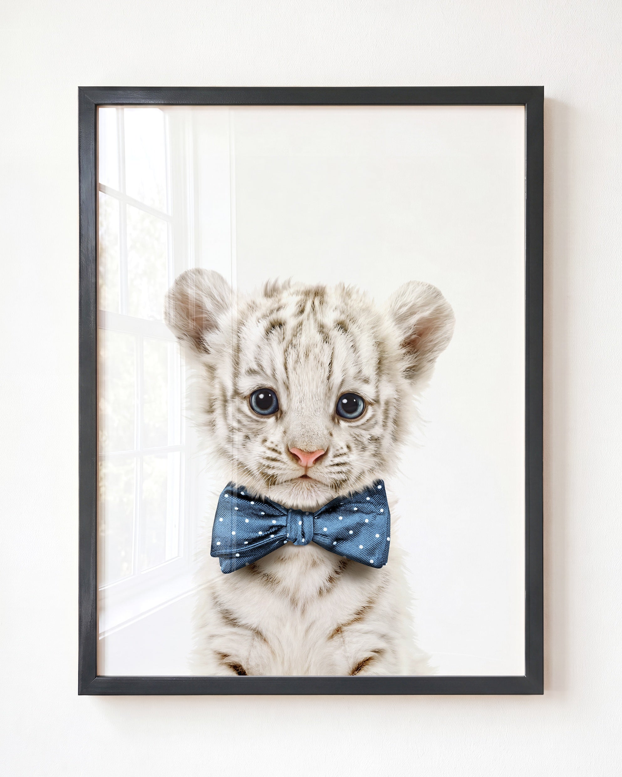 Baby White Tiger