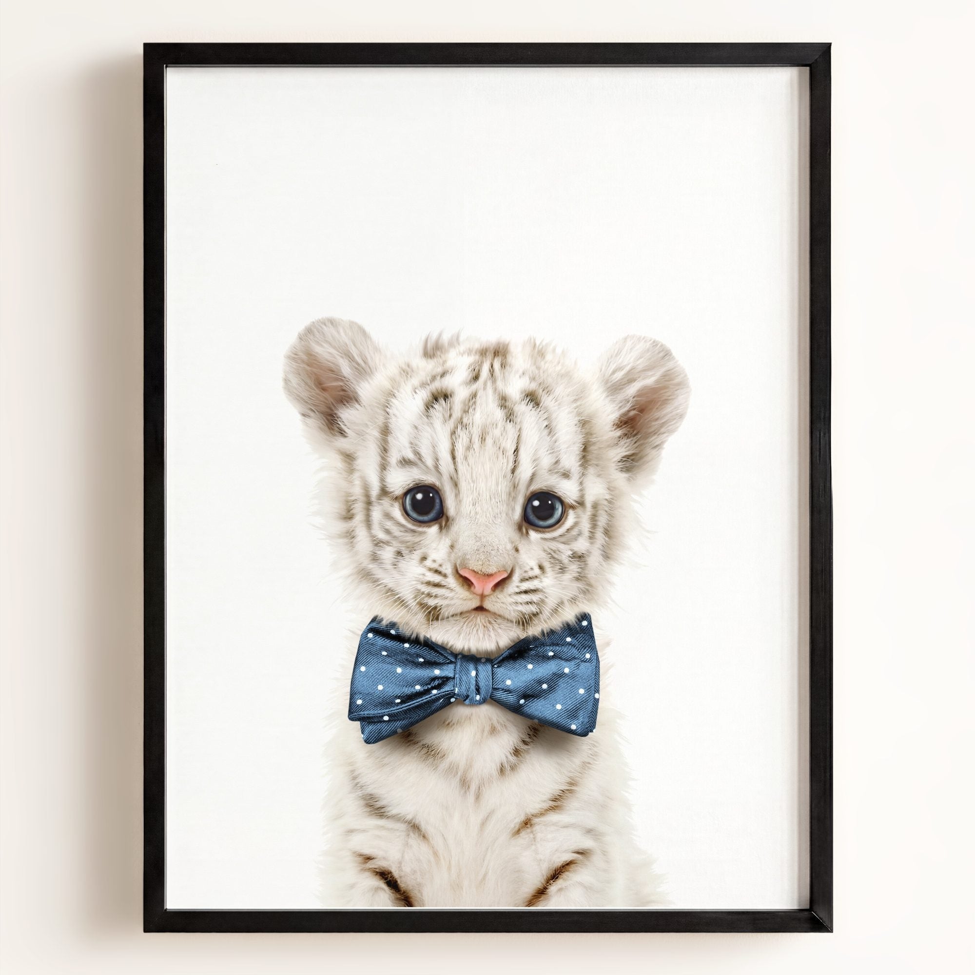 Baby White Tiger