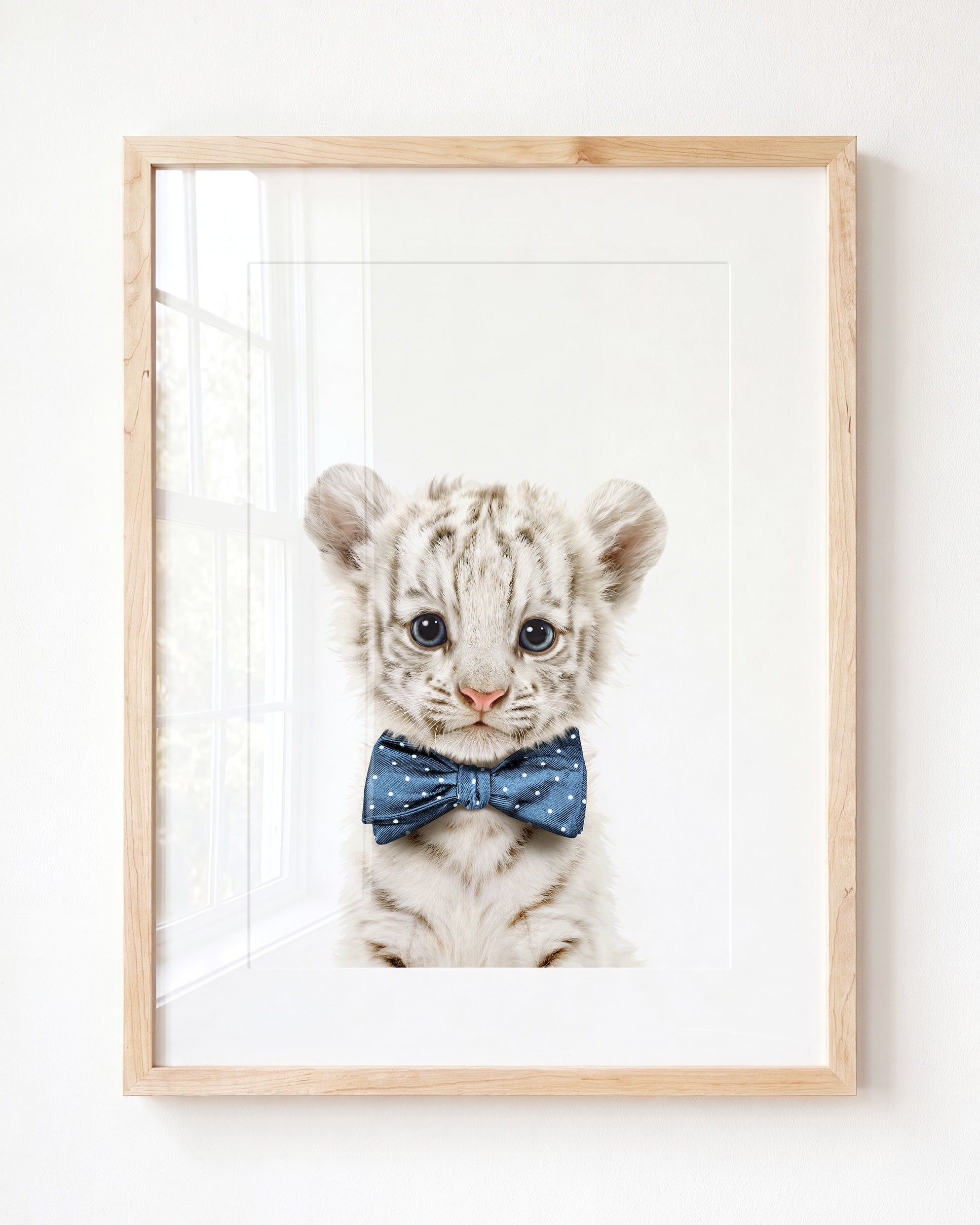 Baby White Tiger