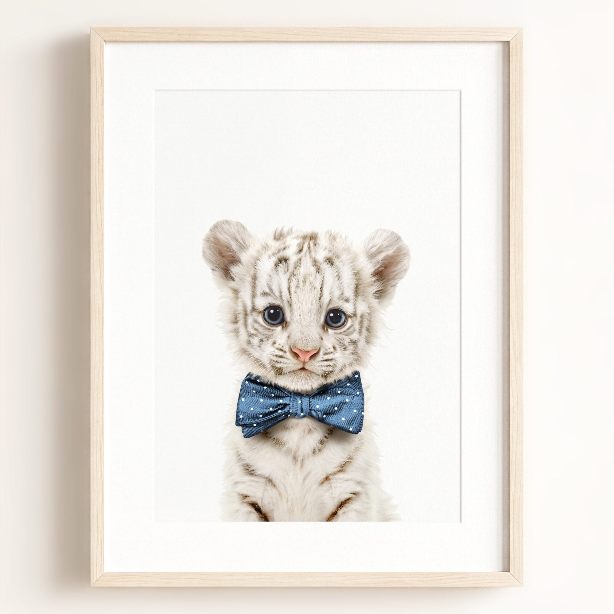 Baby White Tiger