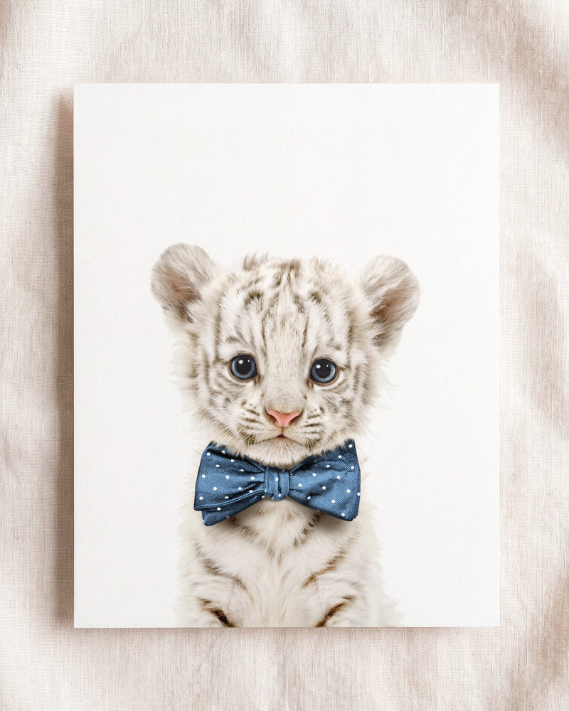 Bow Tie Cornflower