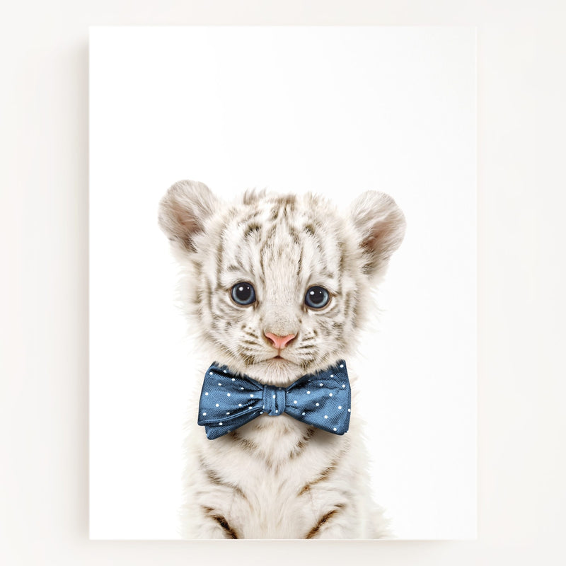 Bow Tie Cornflower