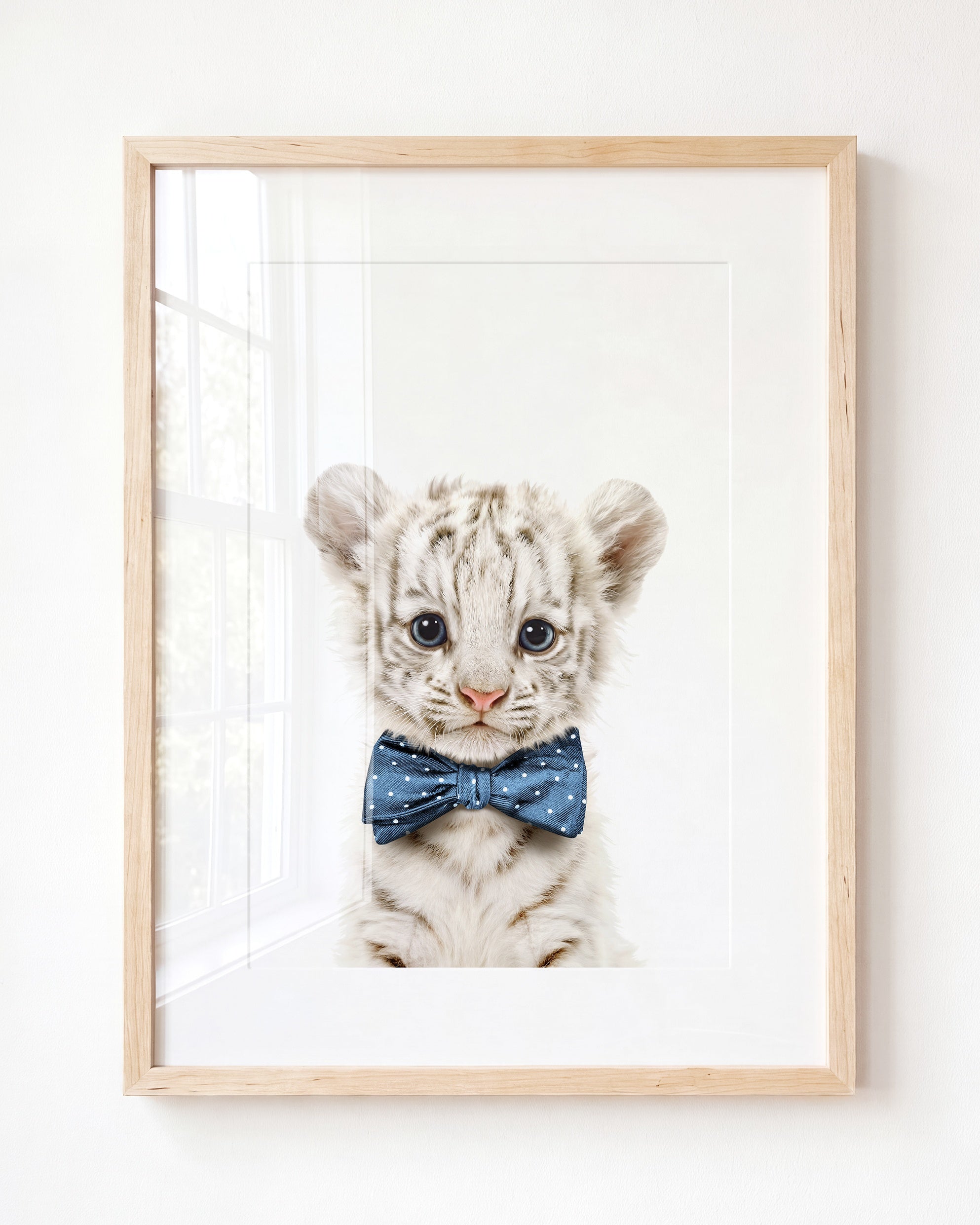 Baby White Tiger