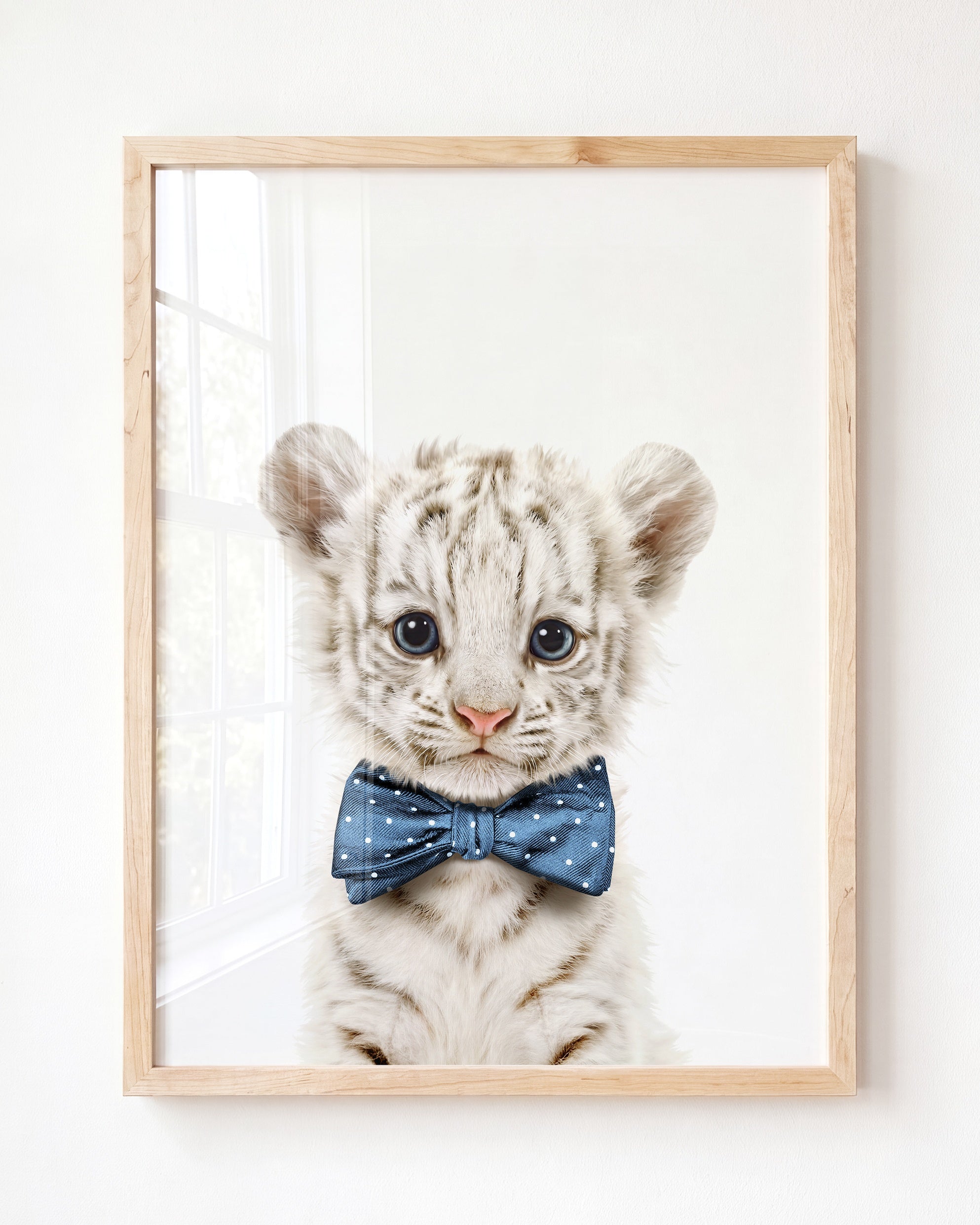 Baby White Tiger
