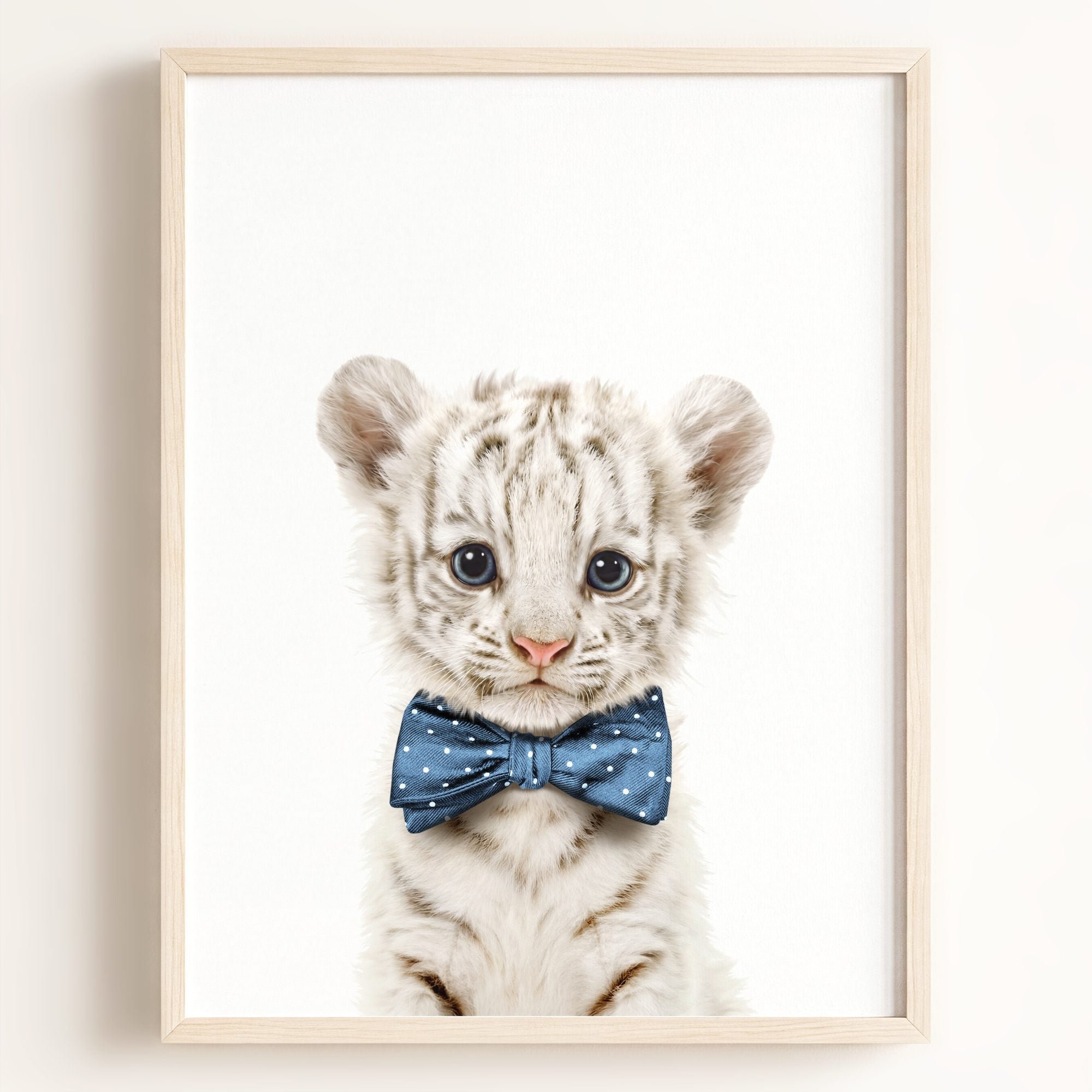 Baby White Tiger