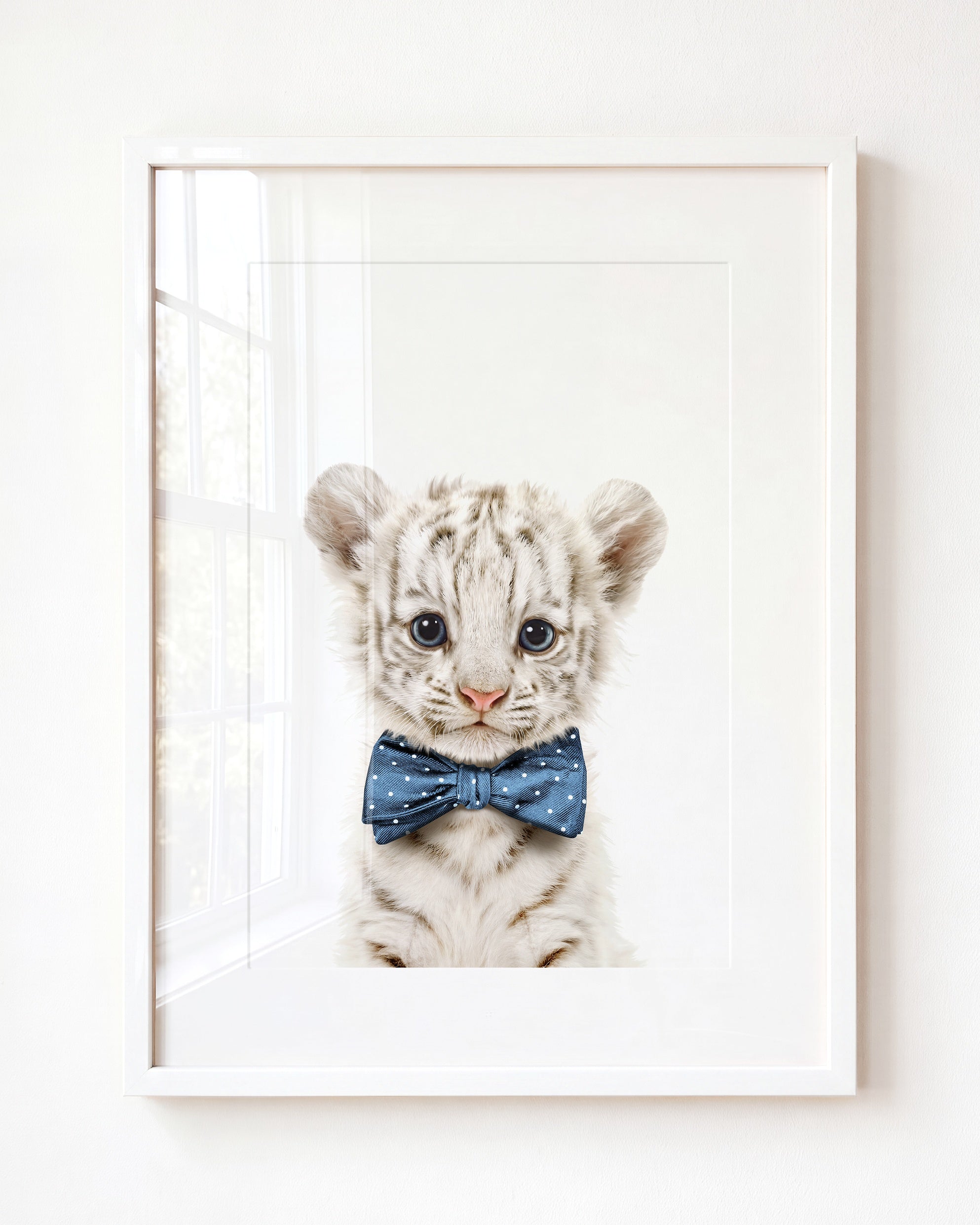 Baby White Tiger