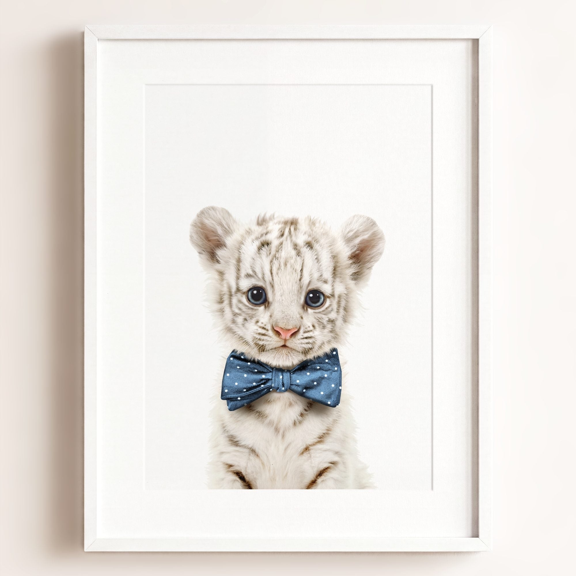 Baby White Tiger