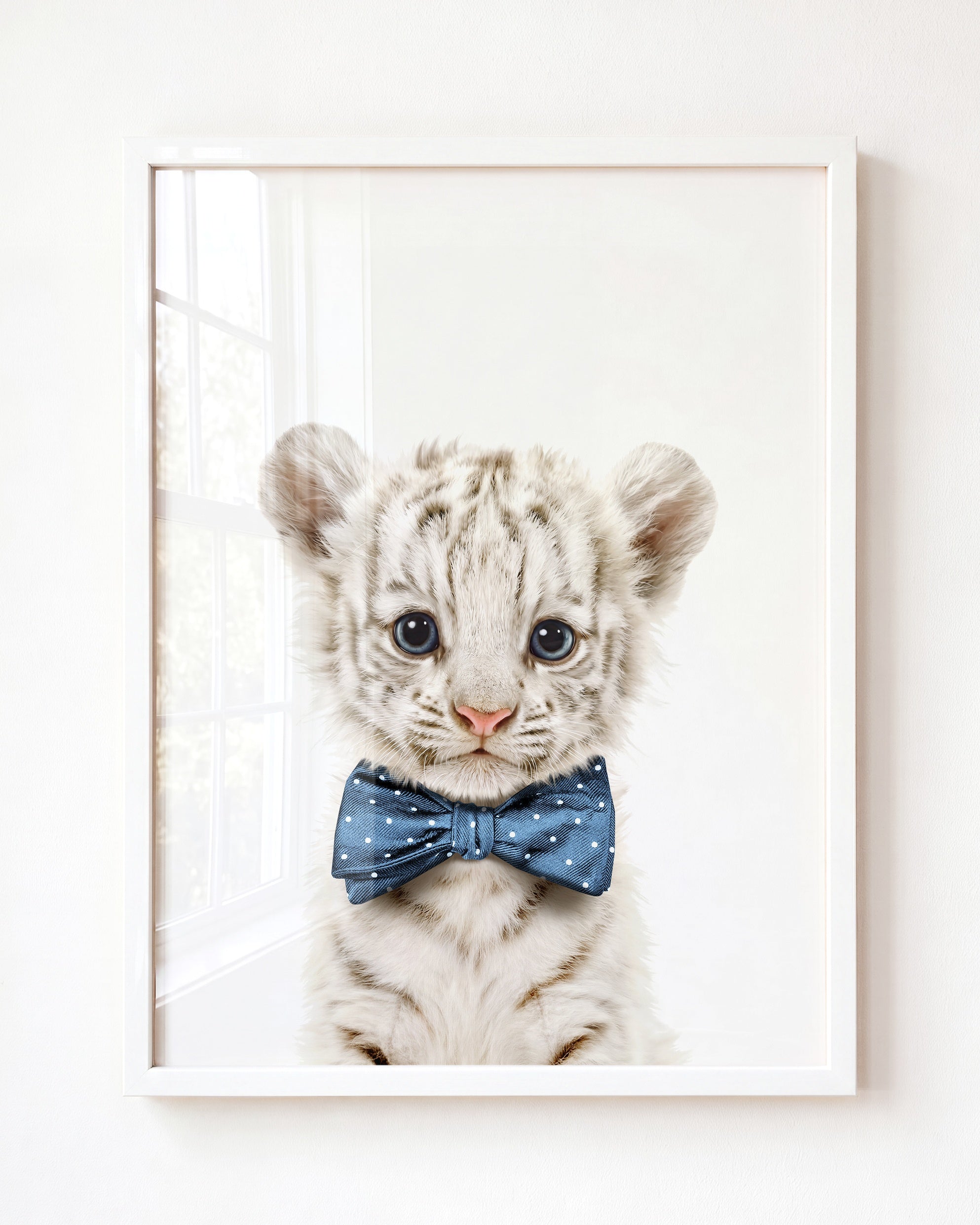 Baby White Tiger