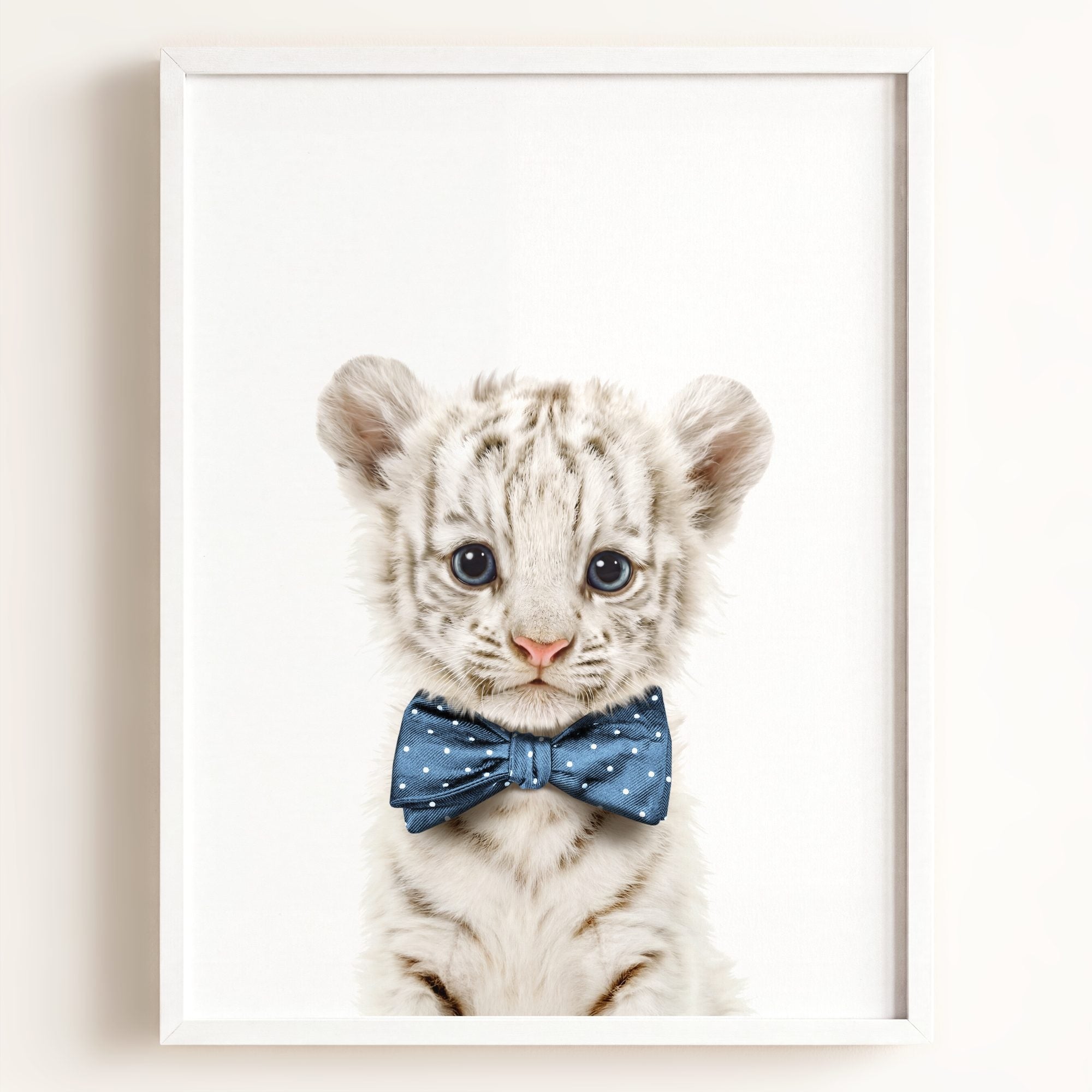 Baby White Tiger