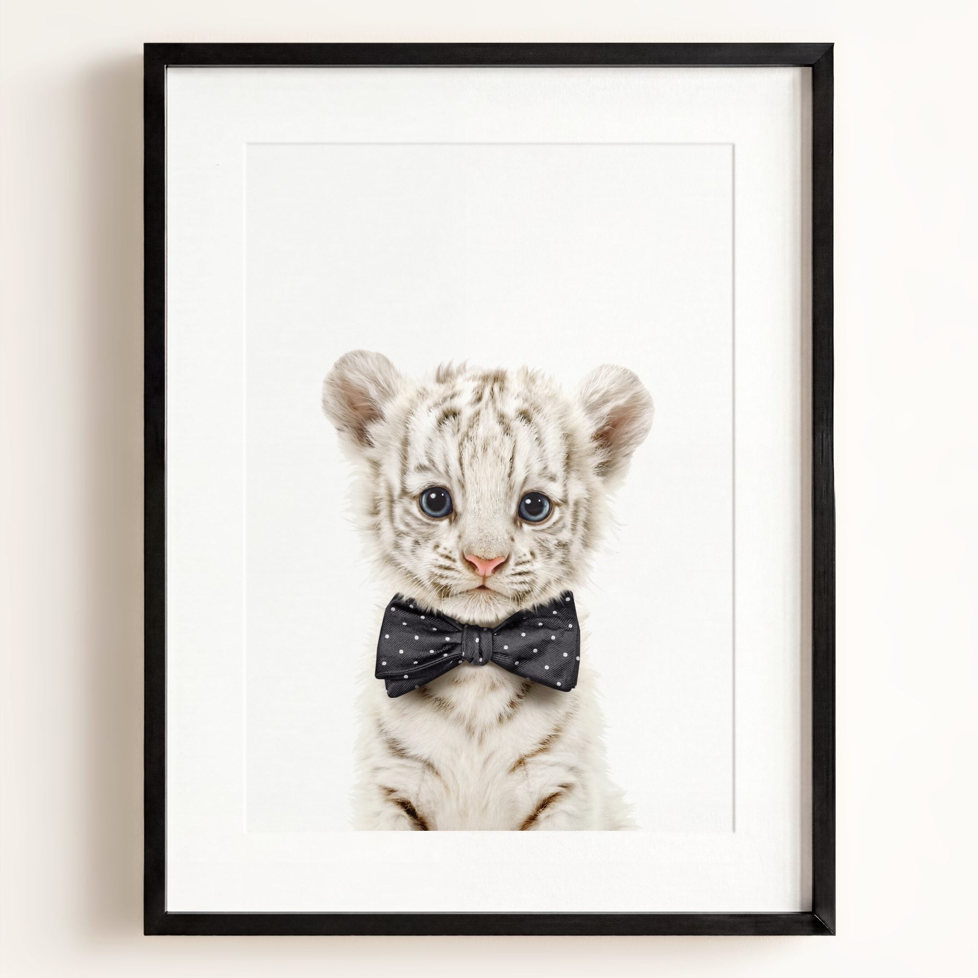 Baby White Tiger