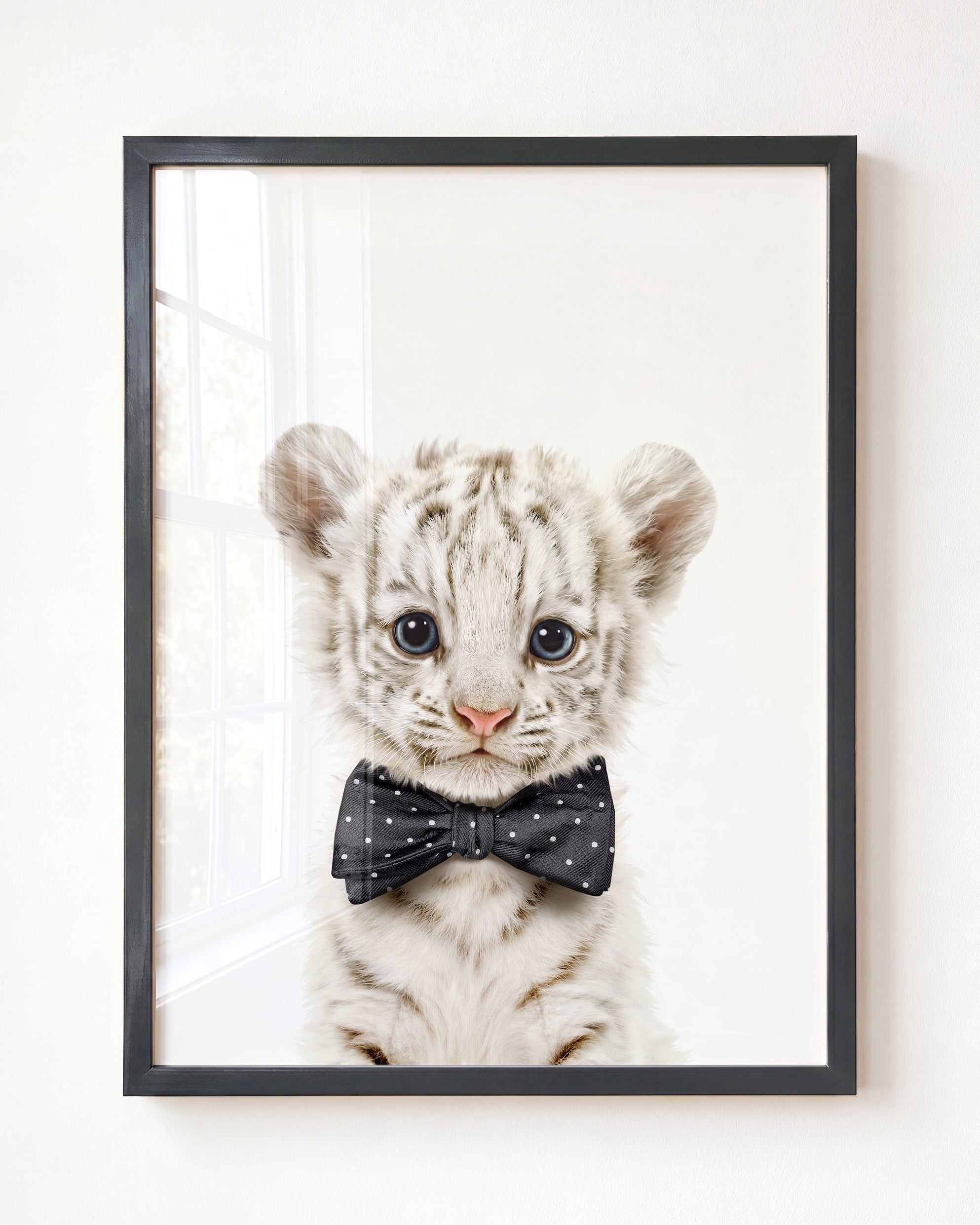 Baby White Tiger