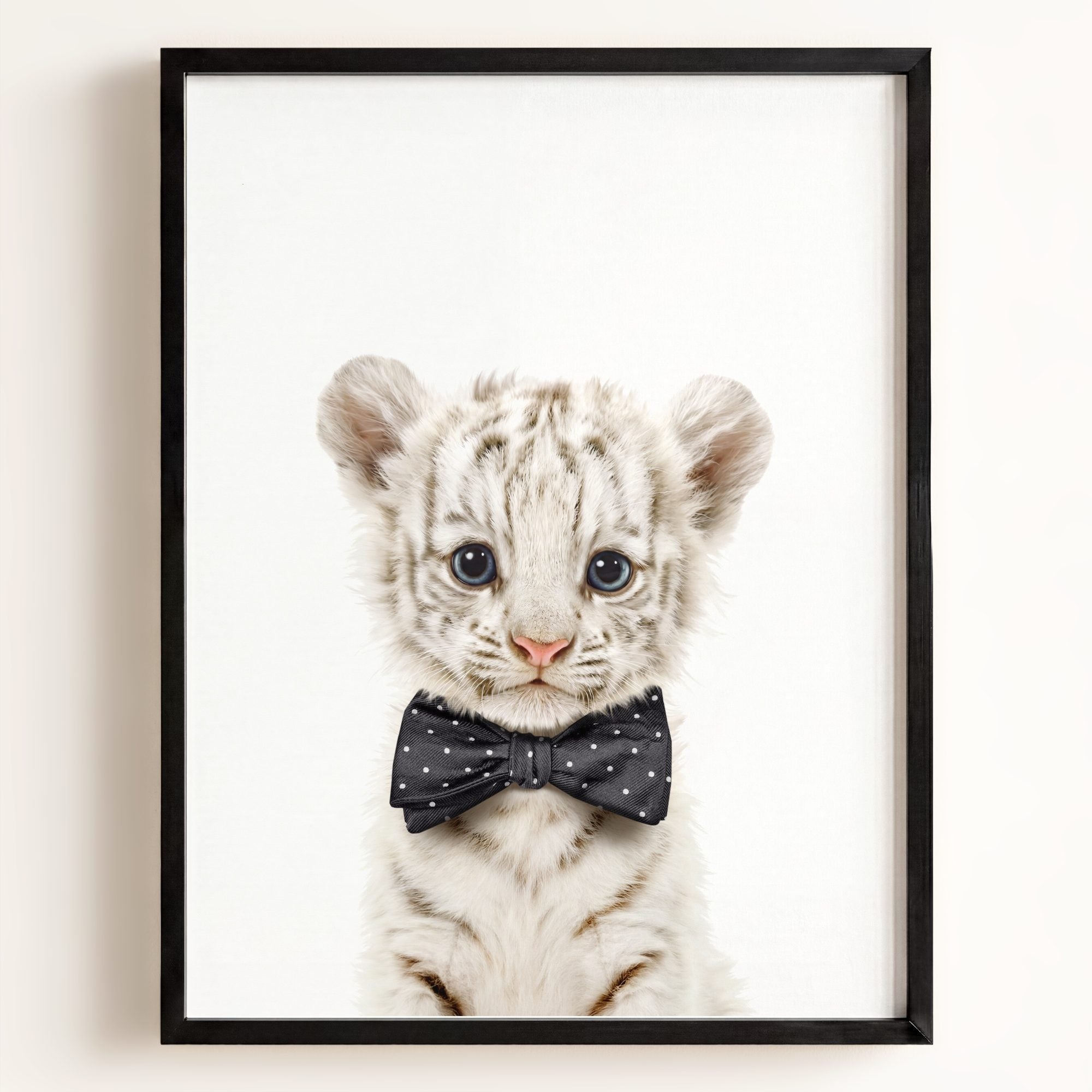 Baby White Tiger