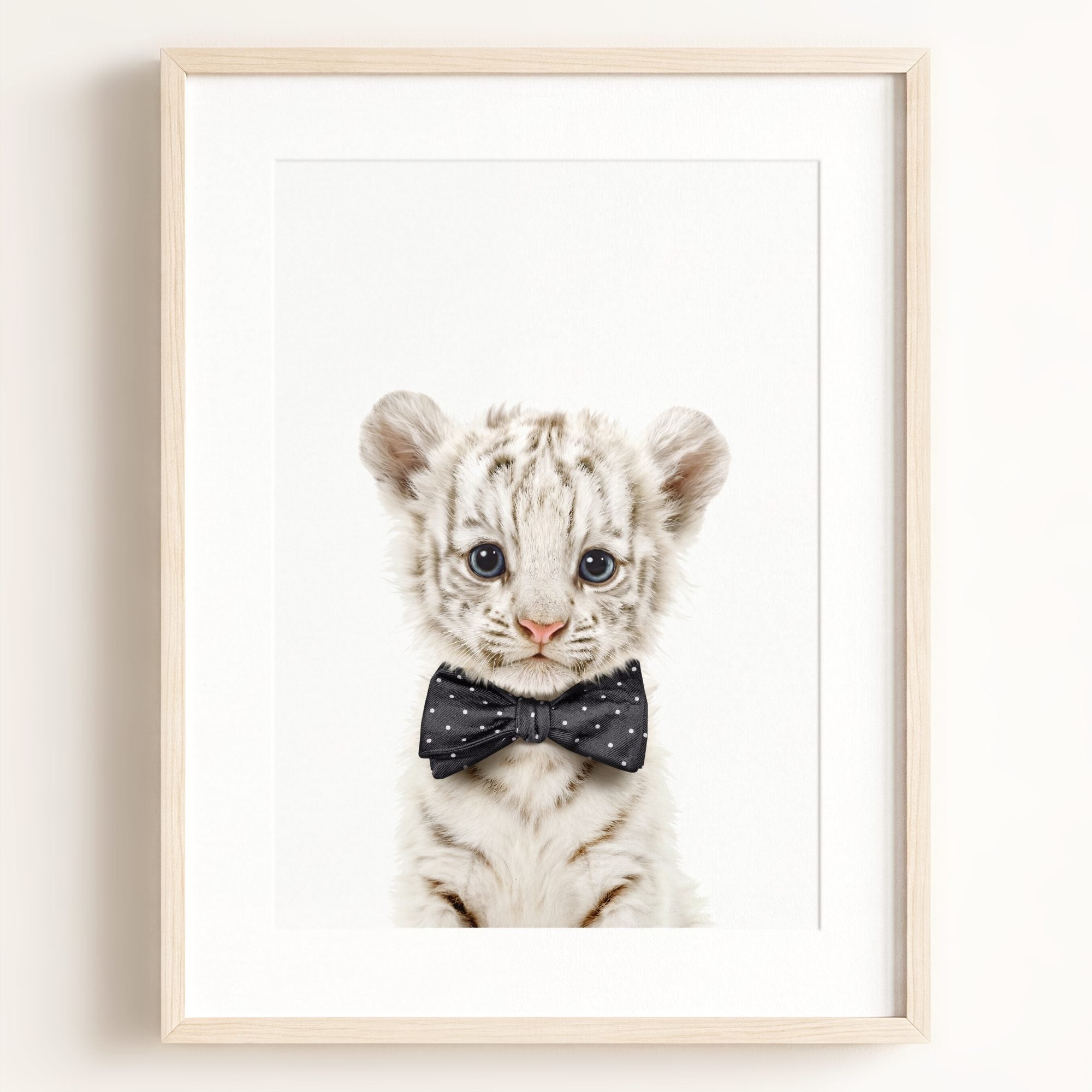 Baby White Tiger