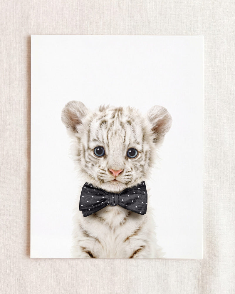 Bow Tie
