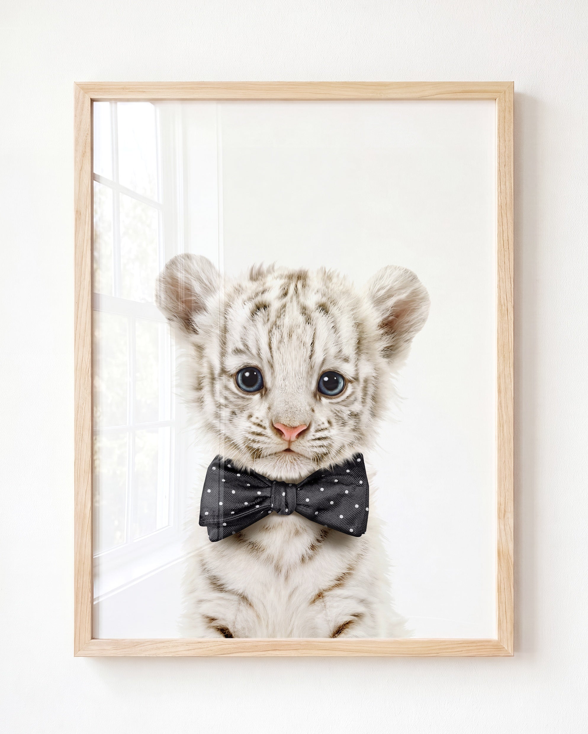 Baby White Tiger
