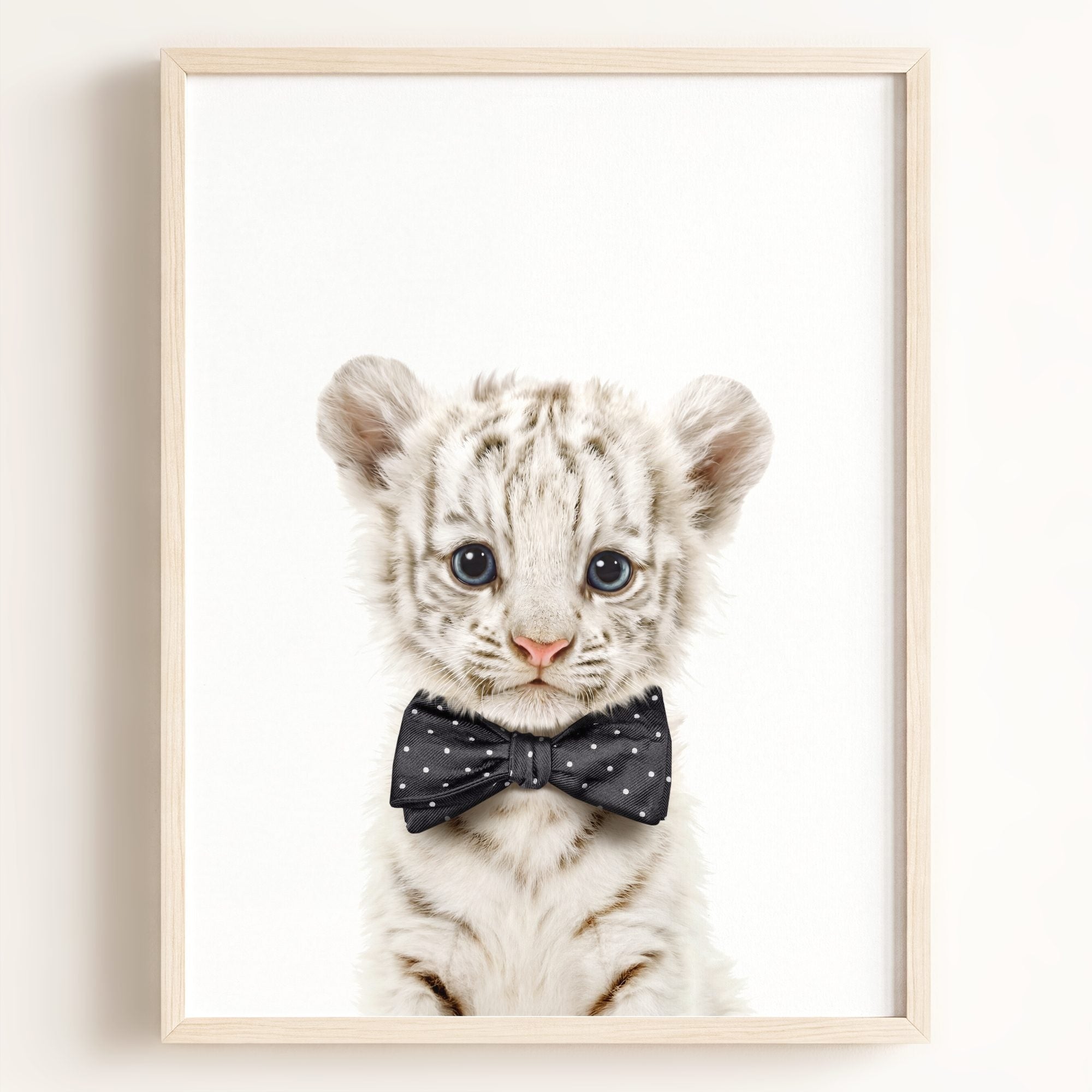 Baby White Tiger