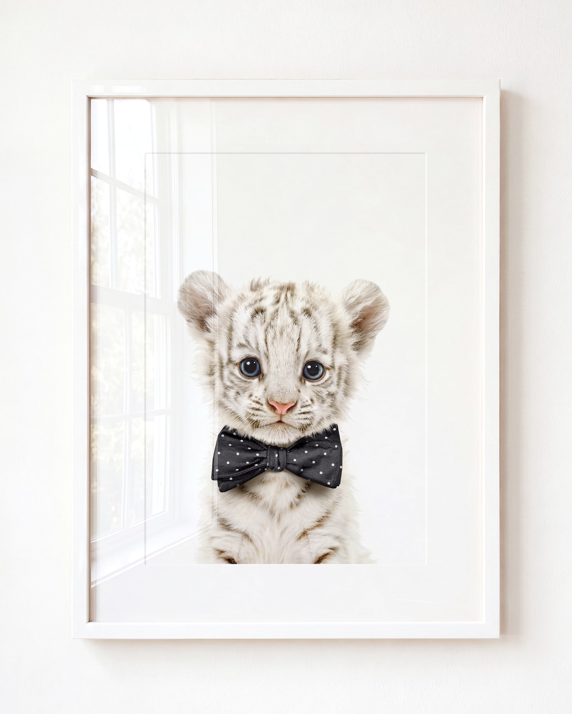 Baby White Tiger