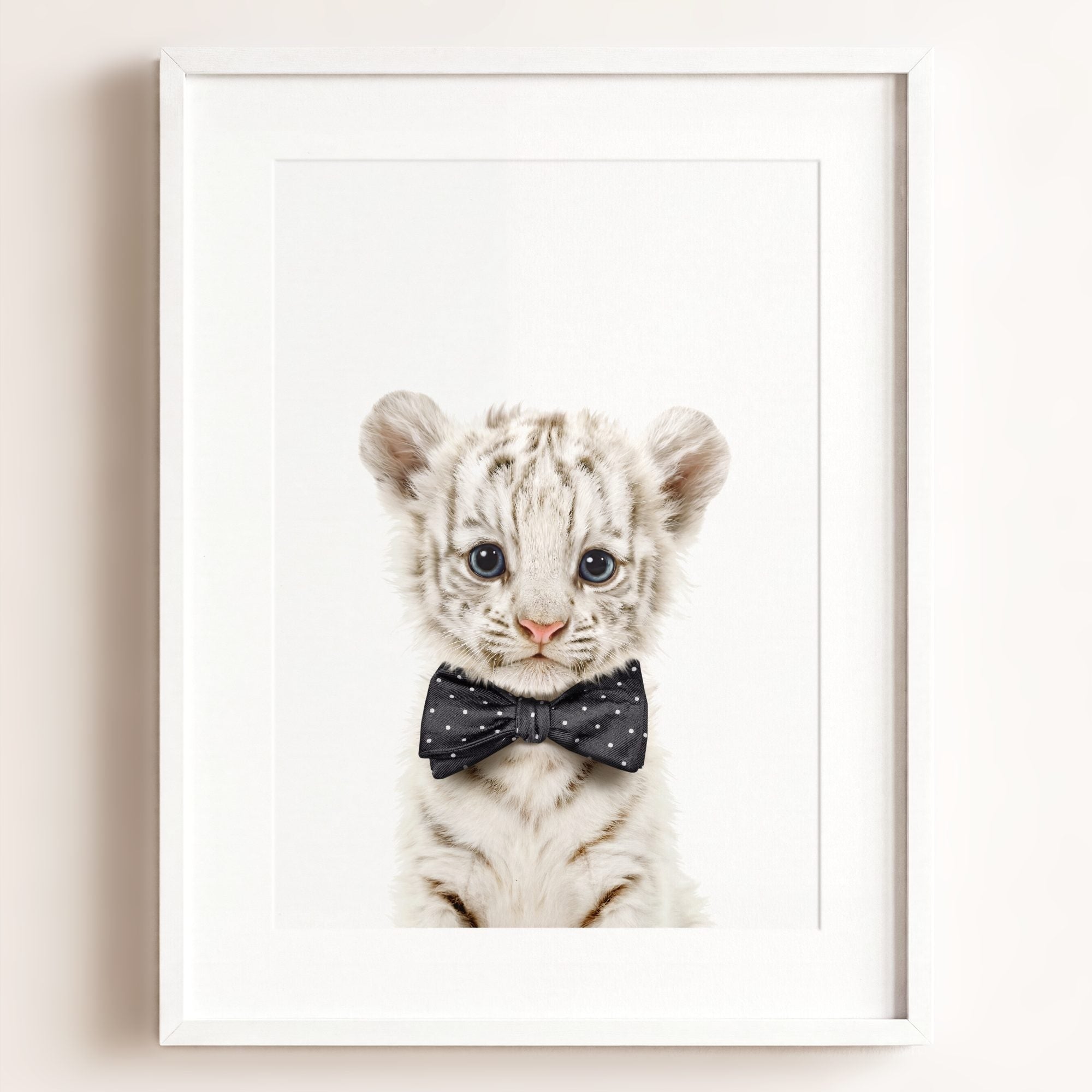 Baby White Tiger