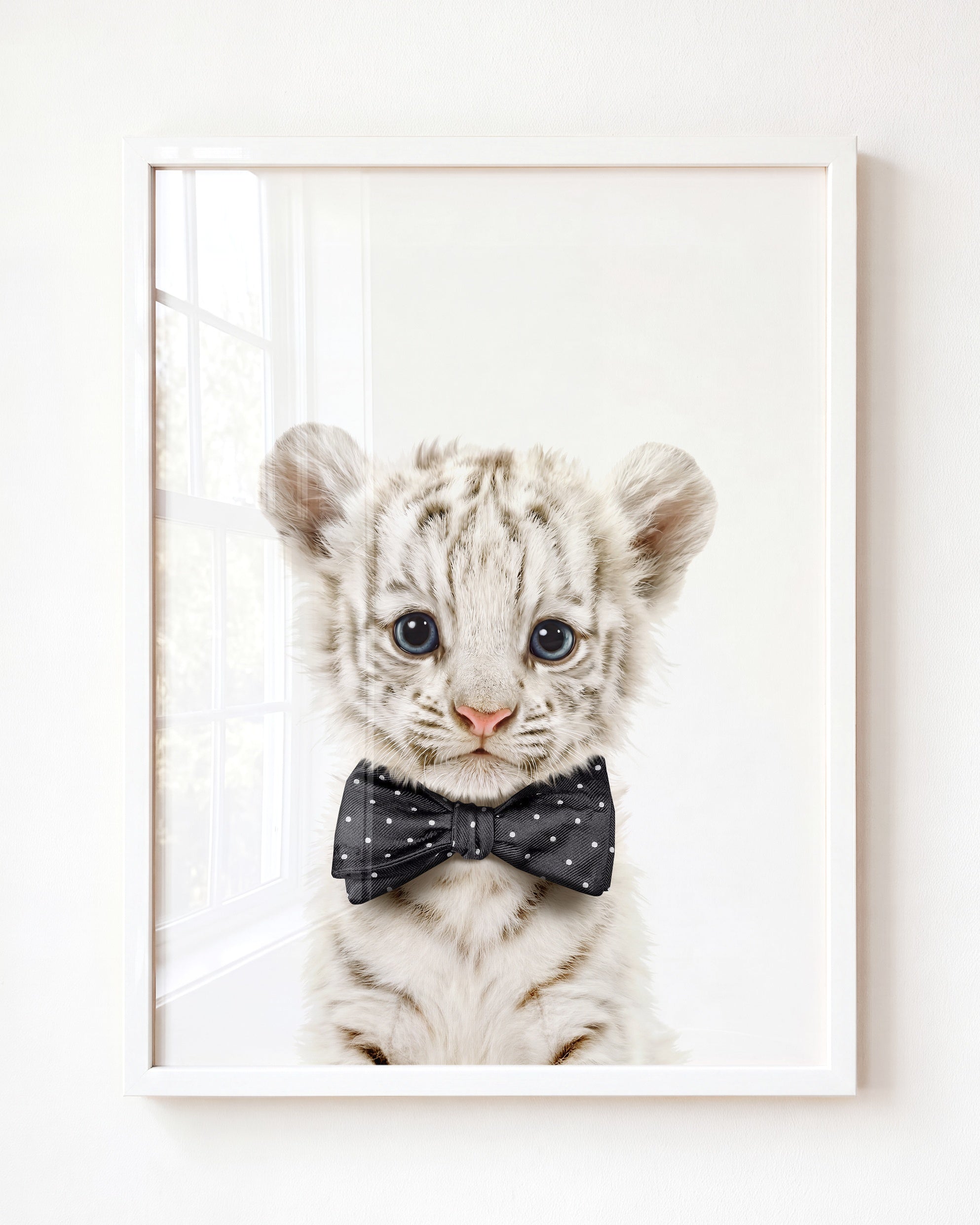 Baby White Tiger