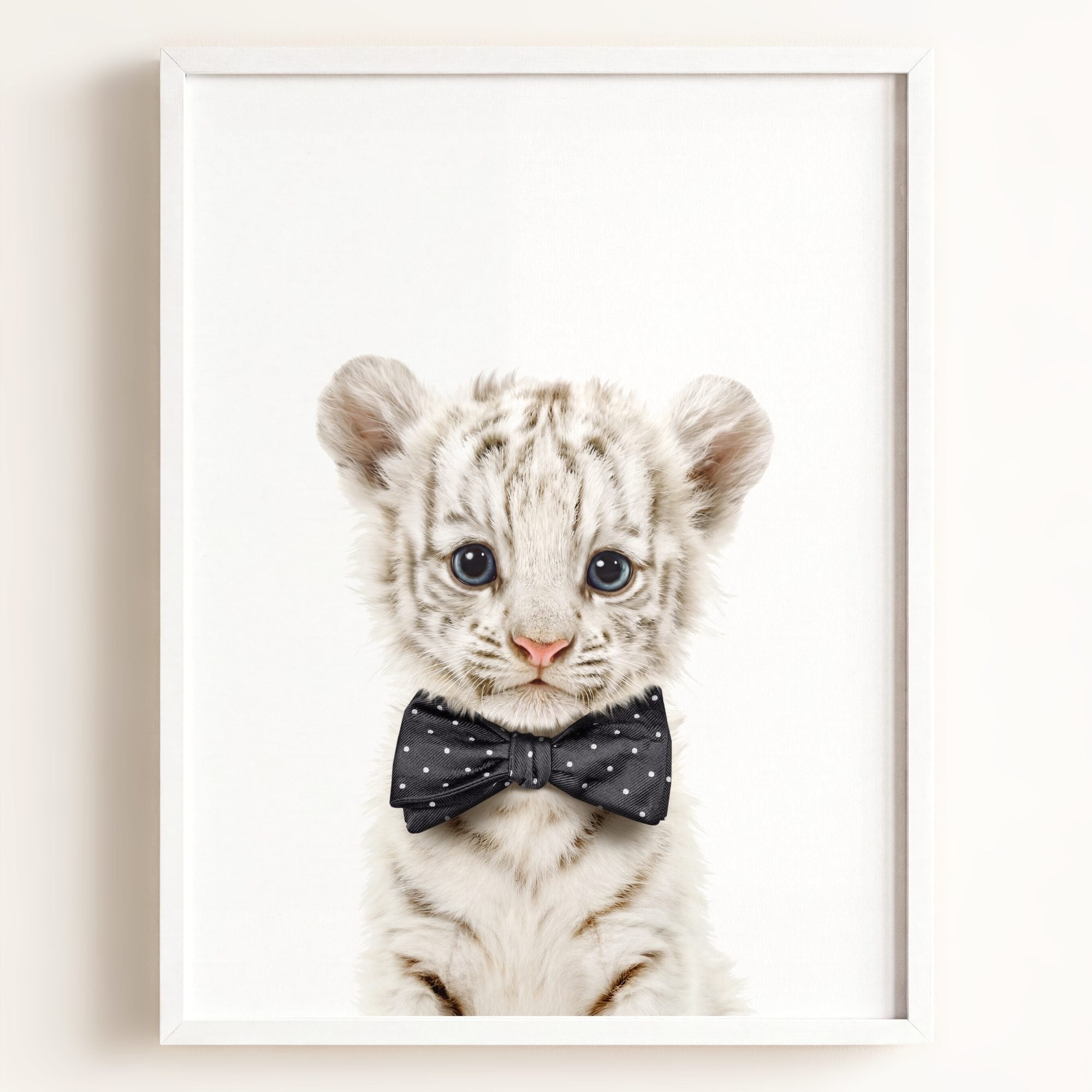 Baby White Tiger