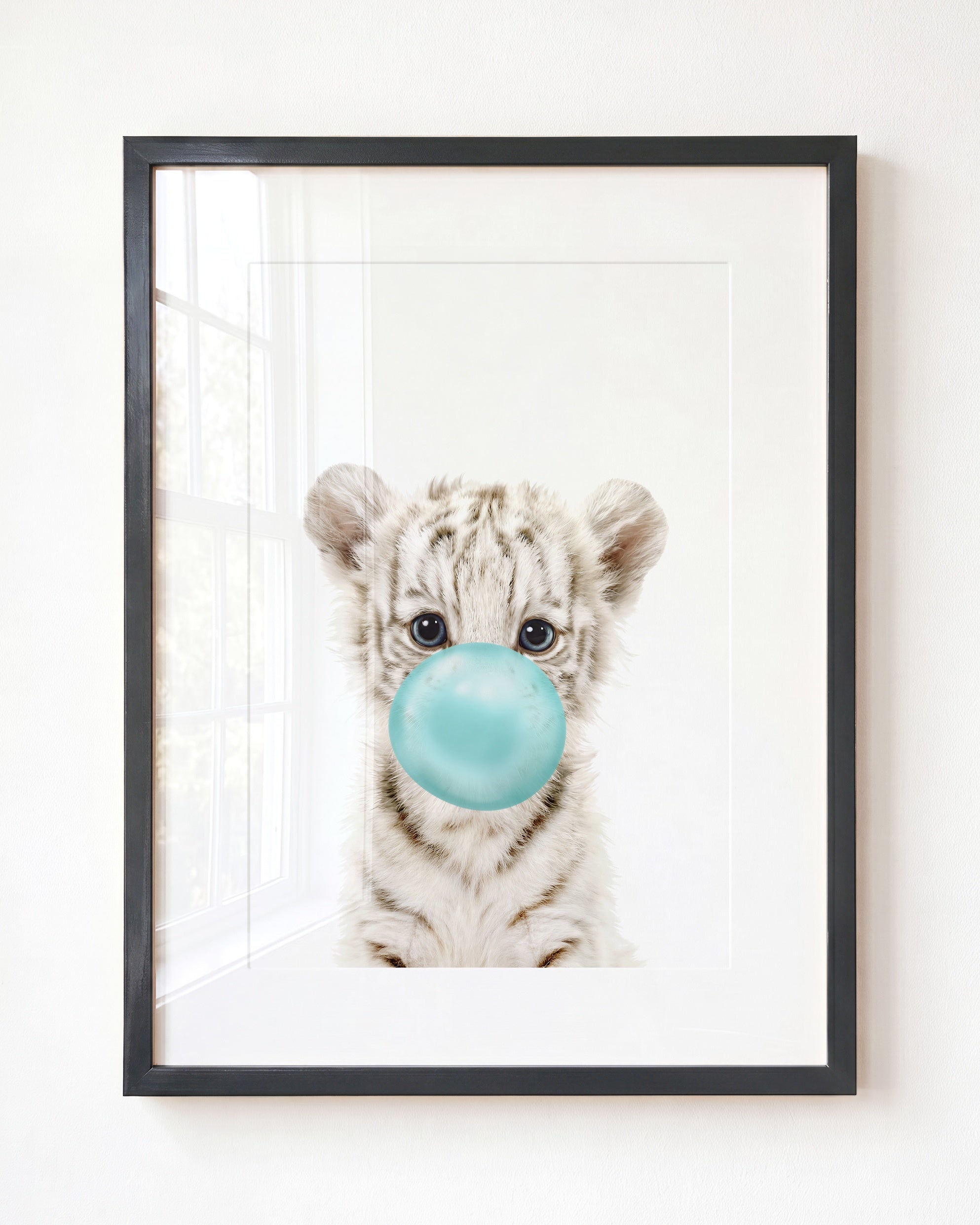 Baby White Tiger