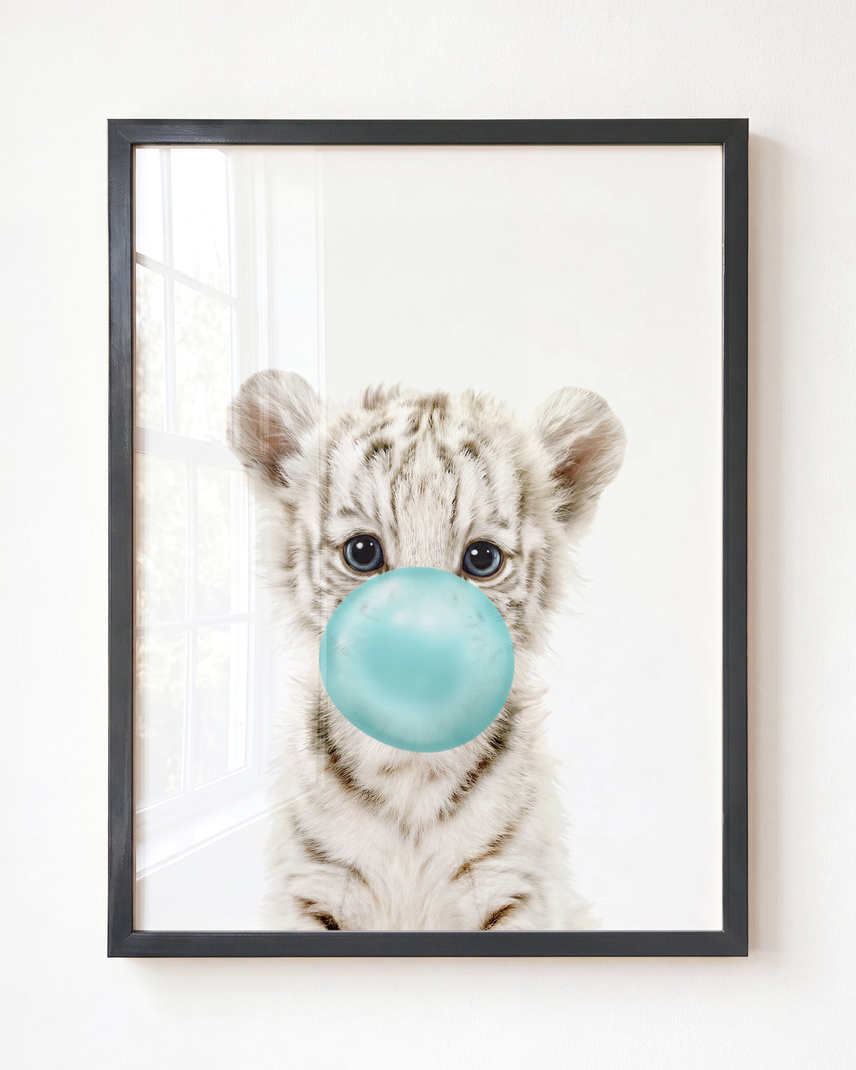 Baby White Tiger