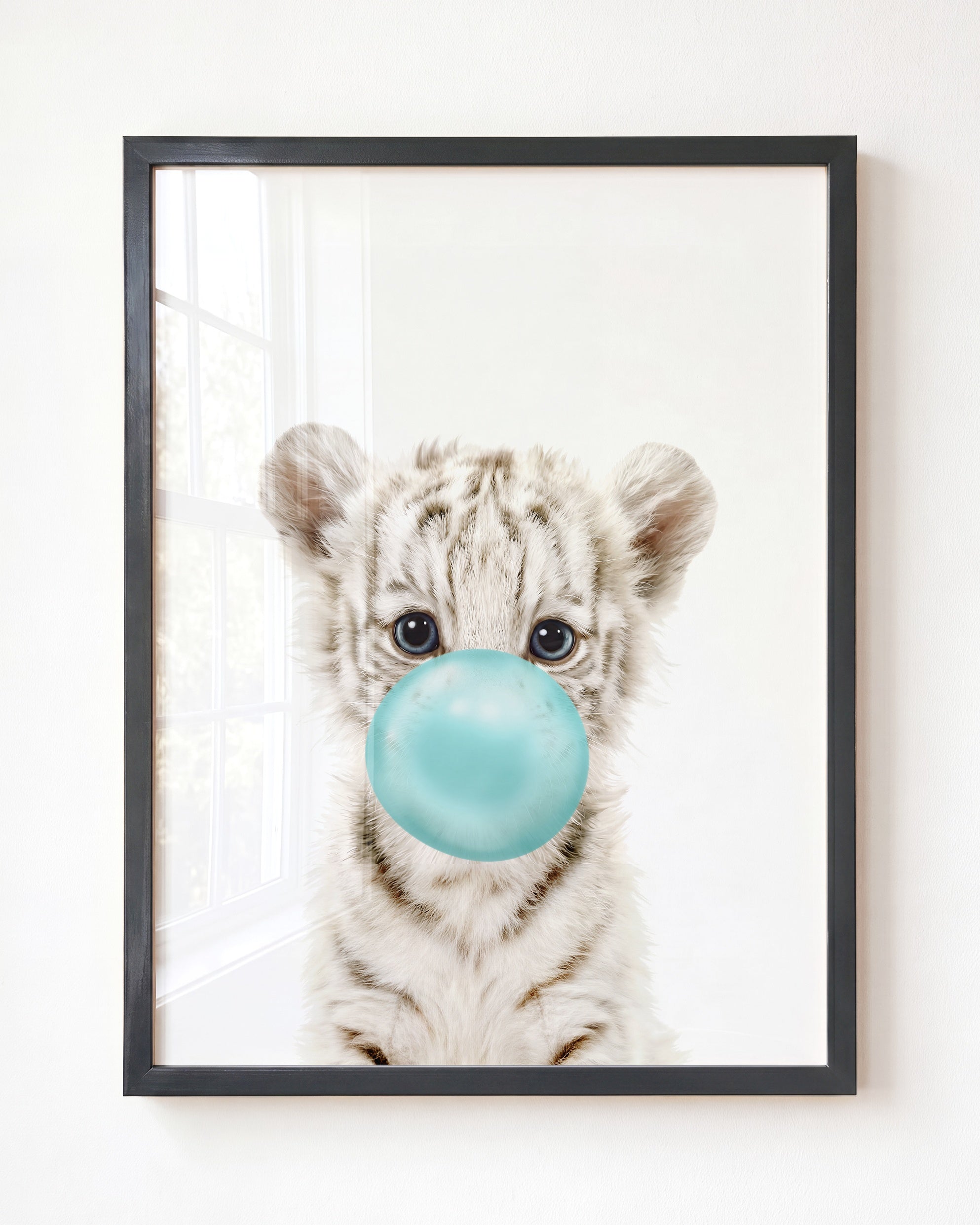 Baby White Tiger