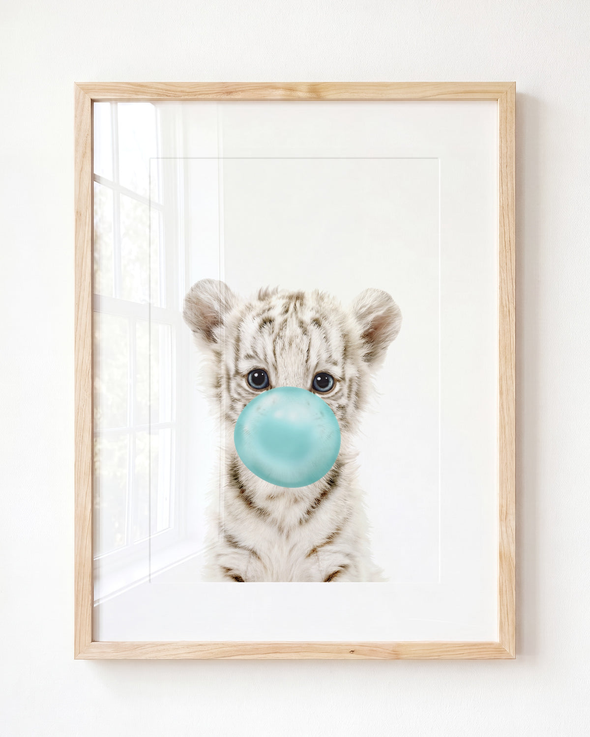 Baby White Tiger