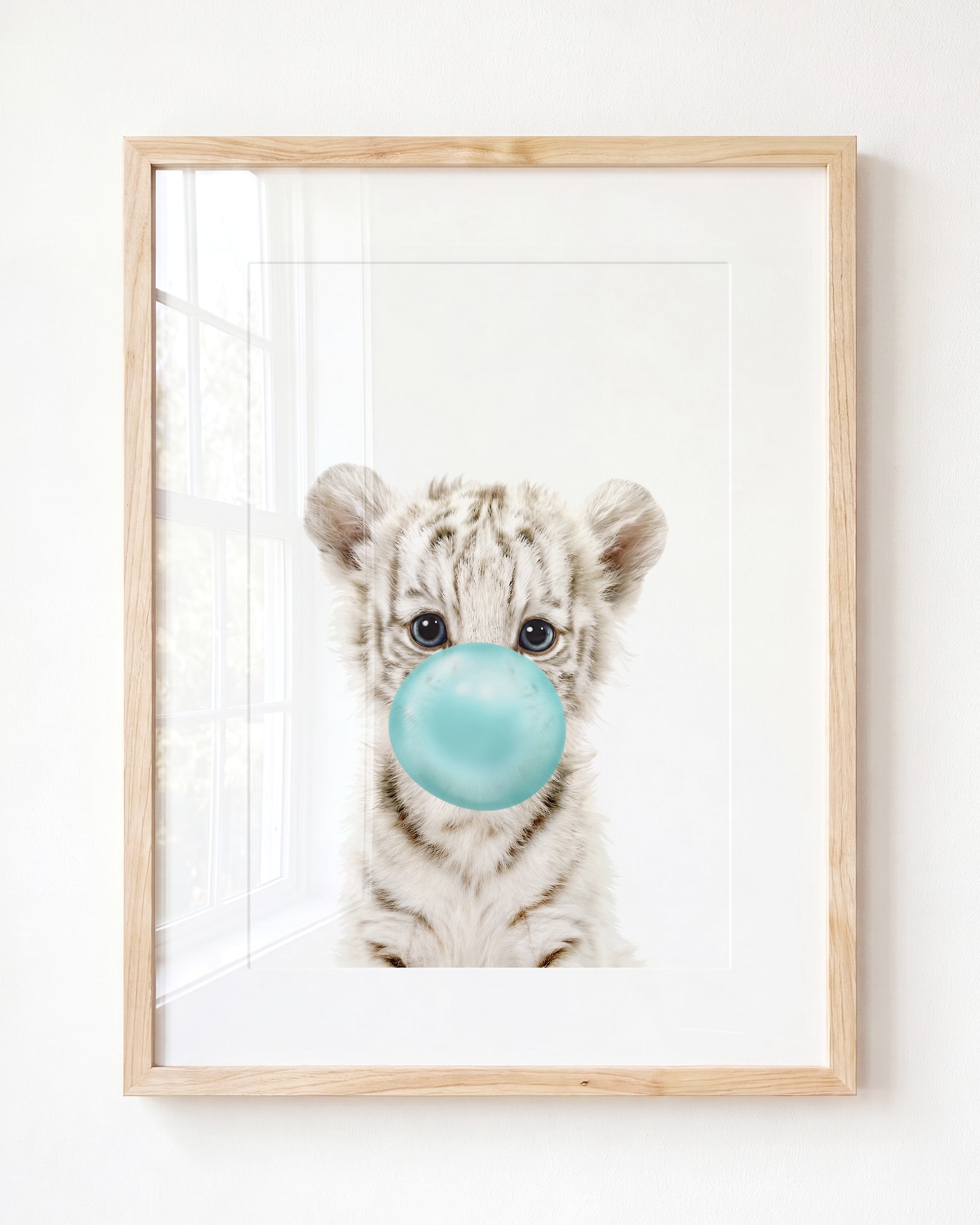 Baby White Tiger