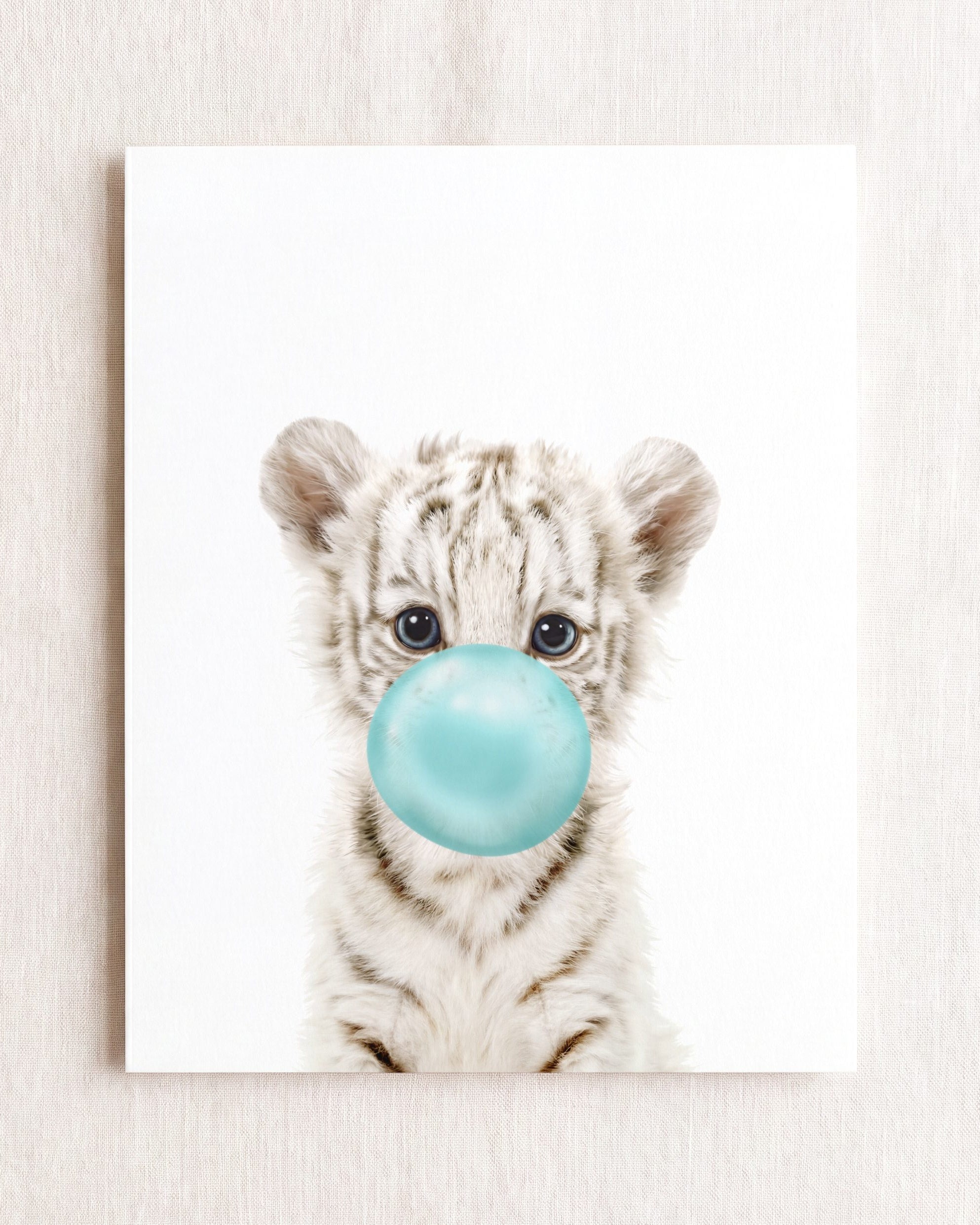 Baby White Tiger